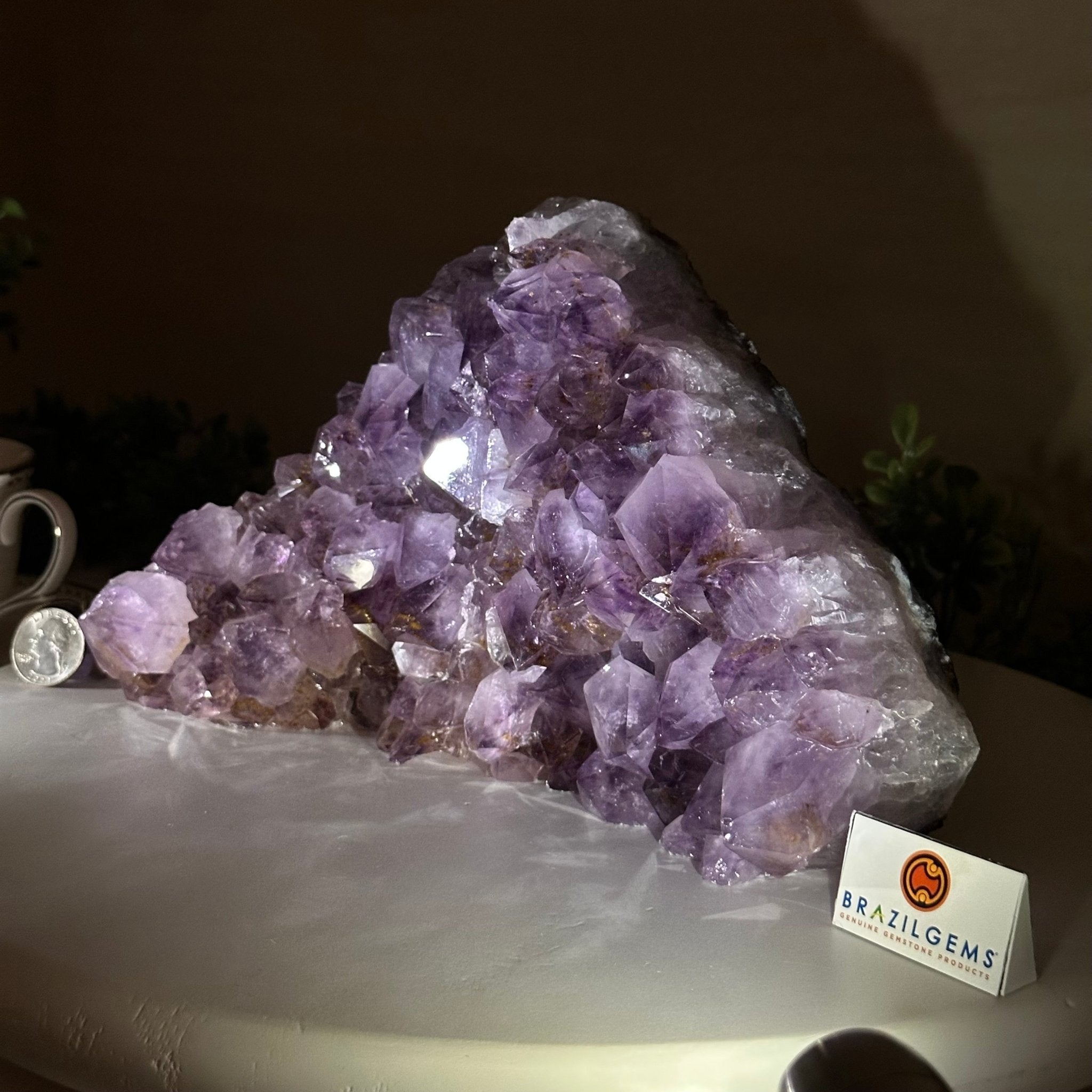 Extra Quality Amethyst Bookends, 8.5 lbs & 5.9" Tall 5151AM - 077 - Brazil GemsBrazil GemsExtra Quality Amethyst Bookends, 8.5 lbs & 5.9" Tall 5151AM - 077Bookends5151AM - 077