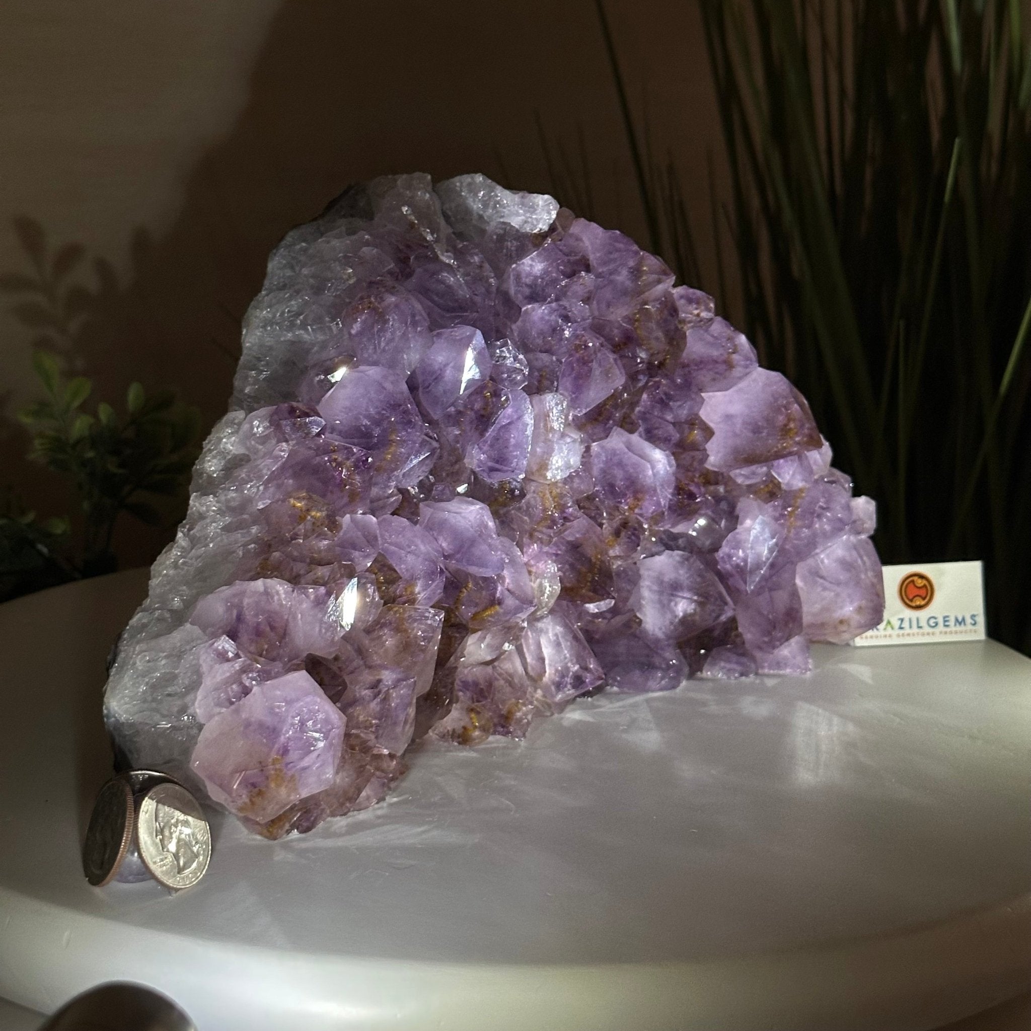 Extra Quality Amethyst Bookends, 8.5 lbs & 5.9" Tall 5151AM - 077 - Brazil GemsBrazil GemsExtra Quality Amethyst Bookends, 8.5 lbs & 5.9" Tall 5151AM - 077Bookends5151AM - 077