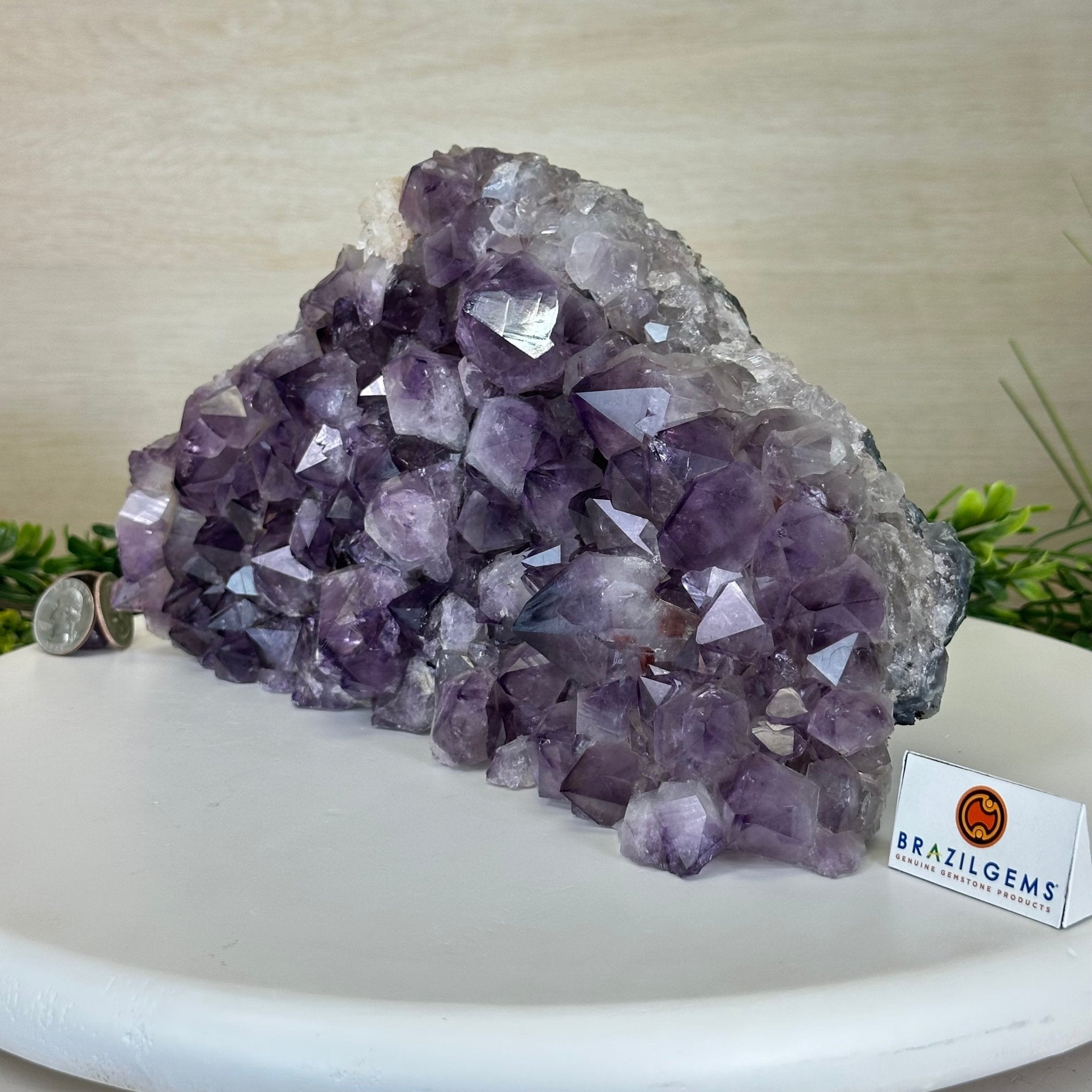 Extra Quality Amethyst Bookends, 9.8 lbs & 6" Tall 5151AM - 078 - Brazil GemsBrazil GemsExtra Quality Amethyst Bookends, 9.8 lbs & 6" Tall 5151AM - 078Bookends5151AM - 078