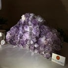 Extra Quality Amethyst Bookends, 9.8 lbs & 6" Tall 5151AM - 078 - Brazil GemsBrazil GemsExtra Quality Amethyst Bookends, 9.8 lbs & 6" Tall 5151AM - 078Bookends5151AM - 078