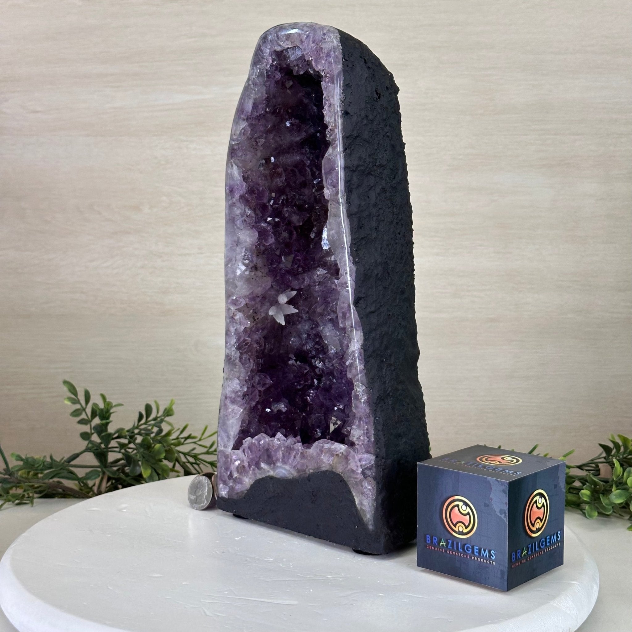 Extra Quality Amethyst Cathedral, 11.2 lbs & 13" Tall #5601 - 1437 - Brazil GemsBrazil GemsExtra Quality Amethyst Cathedral, 11.2 lbs & 13" Tall #5601 - 1437Cathedrals5601 - 1437