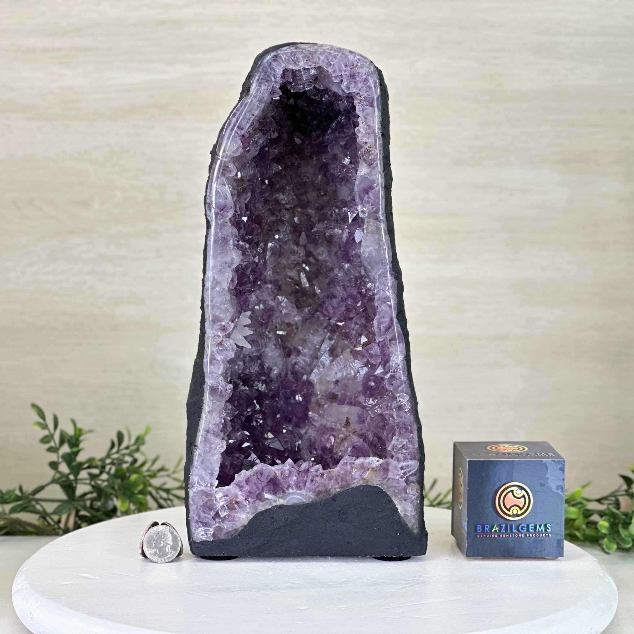 Extra Quality Amethyst Cathedral, 11.2 lbs & 13" Tall #5601 - 1437 - Brazil GemsBrazil GemsExtra Quality Amethyst Cathedral, 11.2 lbs & 13" Tall #5601 - 1437Cathedrals5601 - 1437