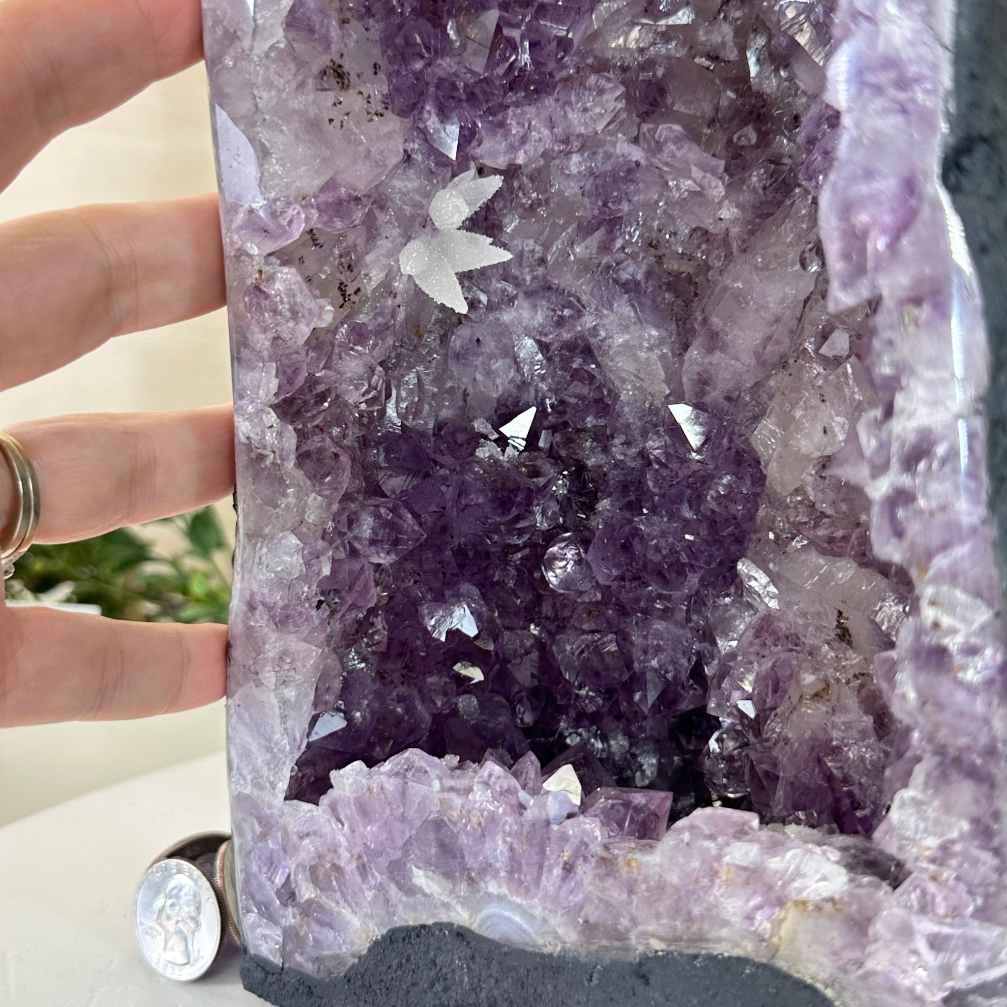 Extra Quality Amethyst Cathedral, 11.2 lbs & 13" Tall #5601 - 1437 - Brazil GemsBrazil GemsExtra Quality Amethyst Cathedral, 11.2 lbs & 13" Tall #5601 - 1437Cathedrals5601 - 1437