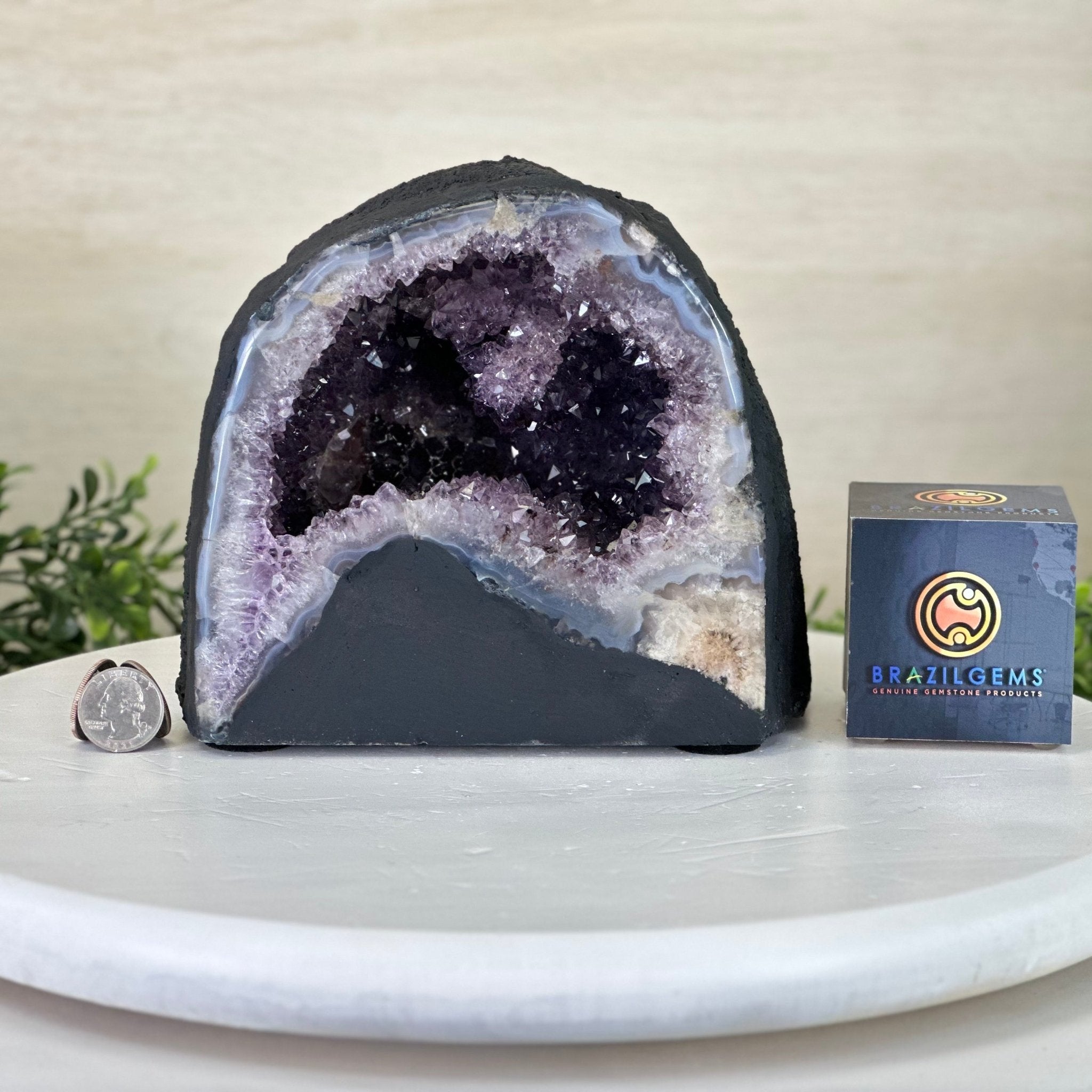 Extra Quality Amethyst Cathedral, 11.7 lbs & 6.5" Tall #5601 - 1438 - Brazil GemsBrazil GemsExtra Quality Amethyst Cathedral, 11.7 lbs & 6.5" Tall #5601 - 1438Cathedrals5601 - 1438