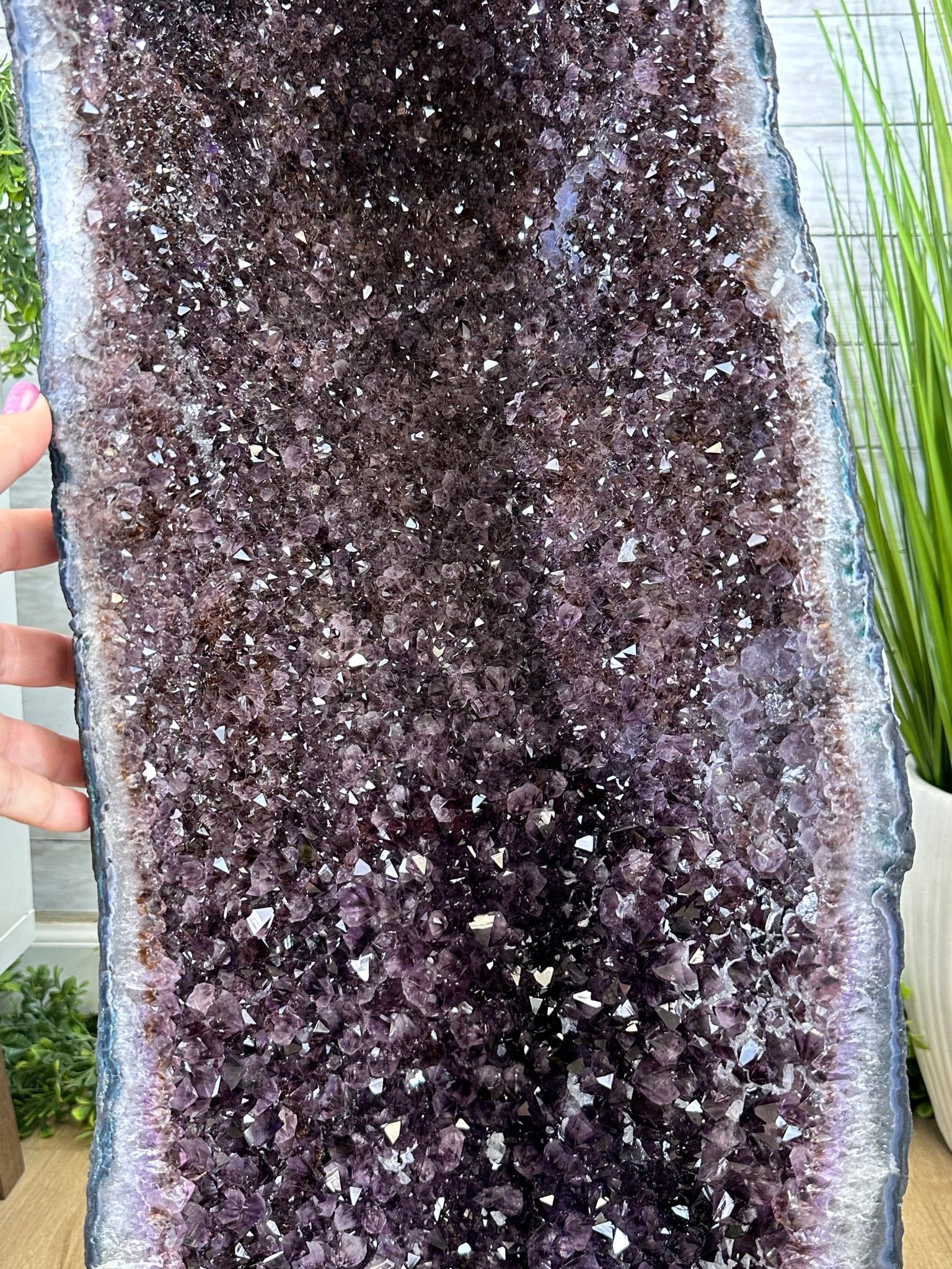 Extra Quality Amethyst Cathedral, 172 lbs & 34" Tall #5601-1273 - Brazil GemsBrazil GemsExtra Quality Amethyst Cathedral, 172 lbs & 34" Tall #5601-1273Cathedrals5601-1273