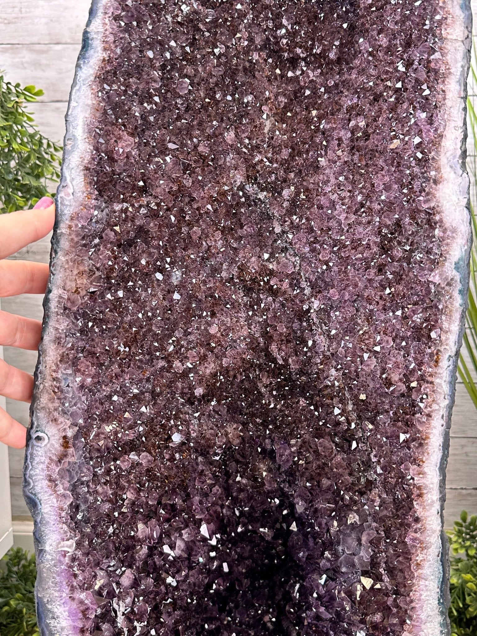 Extra Quality Amethyst Cathedral, 177 lbs & 37" Tall #5601-1274 - Brazil GemsBrazil GemsExtra Quality Amethyst Cathedral, 177 lbs & 37" Tall #5601-1274Cathedrals5601-1274