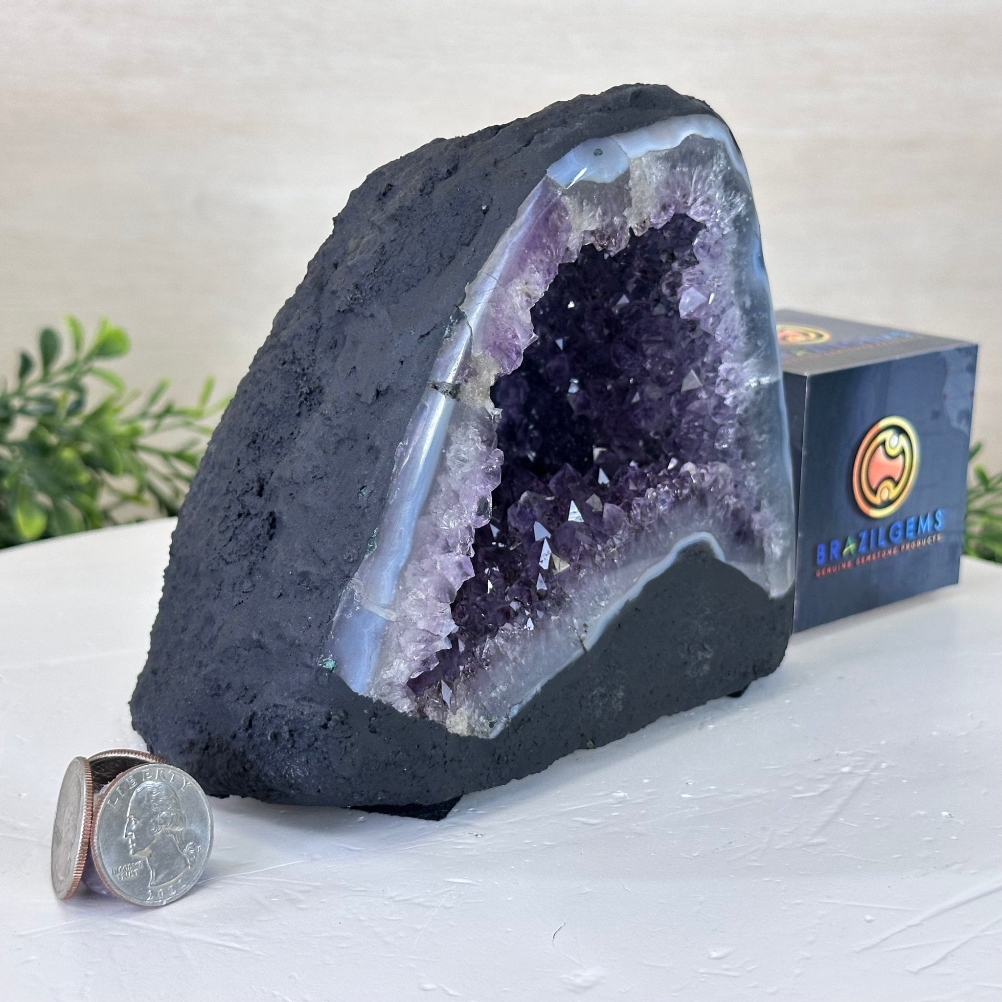 Extra Quality Amethyst Cathedral, 4.4 lbs & 5.4" Tall #5601 - 1417 - Brazil GemsBrazil GemsExtra Quality Amethyst Cathedral, 4.4 lbs & 5.4" Tall #5601 - 1417Cathedrals5601 - 1417