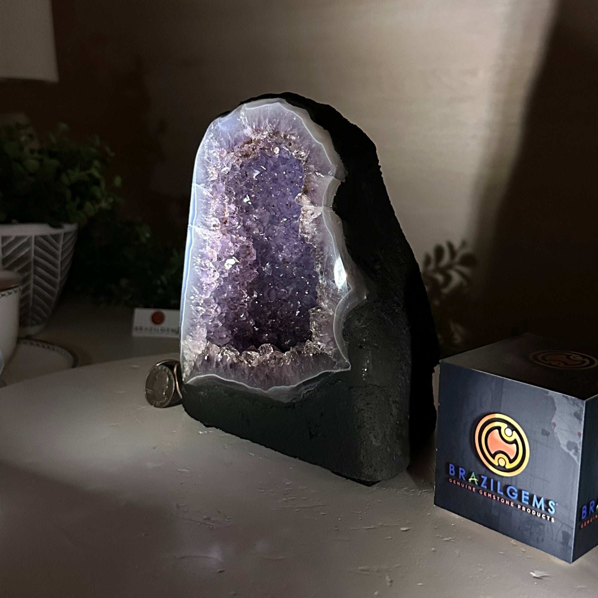 Extra Quality Amethyst Cathedral, 5.4 lbs & 6.8" Tall #5601 - 1420 - Brazil GemsBrazil GemsExtra Quality Amethyst Cathedral, 5.4 lbs & 6.8" Tall #5601 - 1420Cathedrals5601 - 1420