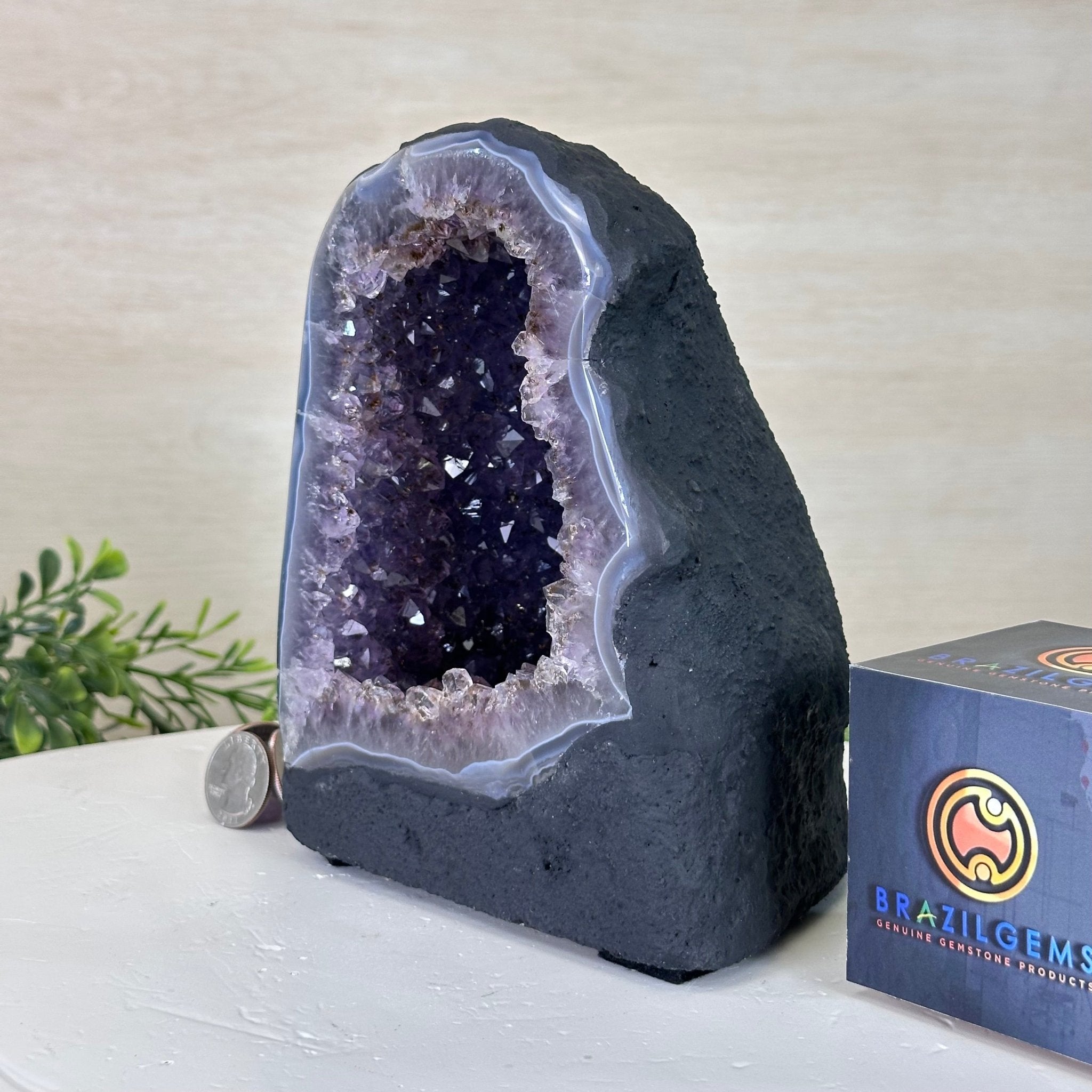 Extra Quality Amethyst Cathedral, 5.4 lbs & 6.8" Tall #5601 - 1420 - Brazil GemsBrazil GemsExtra Quality Amethyst Cathedral, 5.4 lbs & 6.8" Tall #5601 - 1420Cathedrals5601 - 1420