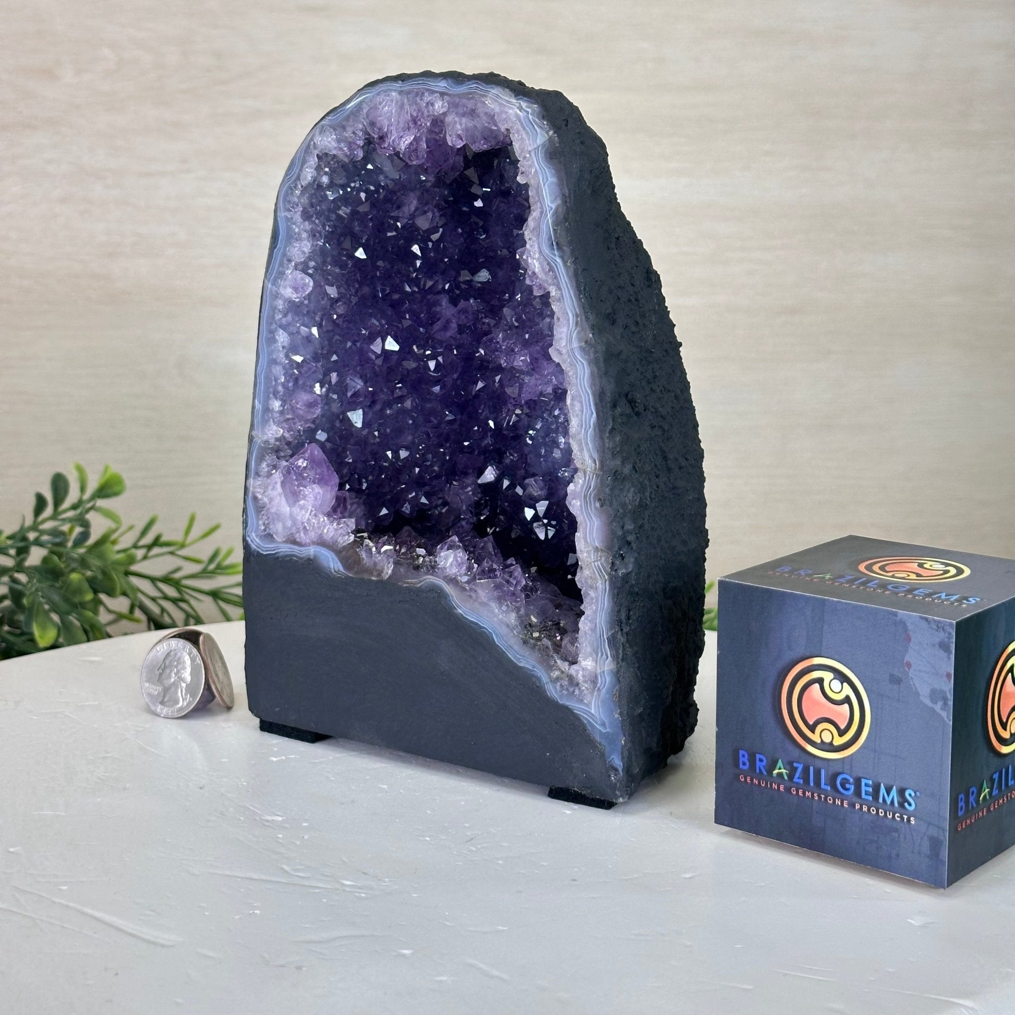 Extra Quality Amethyst Cathedral, 5.6 lbs & 7.5" Tall #5601 - 1421 - Brazil GemsBrazil GemsExtra Quality Amethyst Cathedral, 5.6 lbs & 7.5" Tall #5601 - 1421Cathedrals5601 - 1421