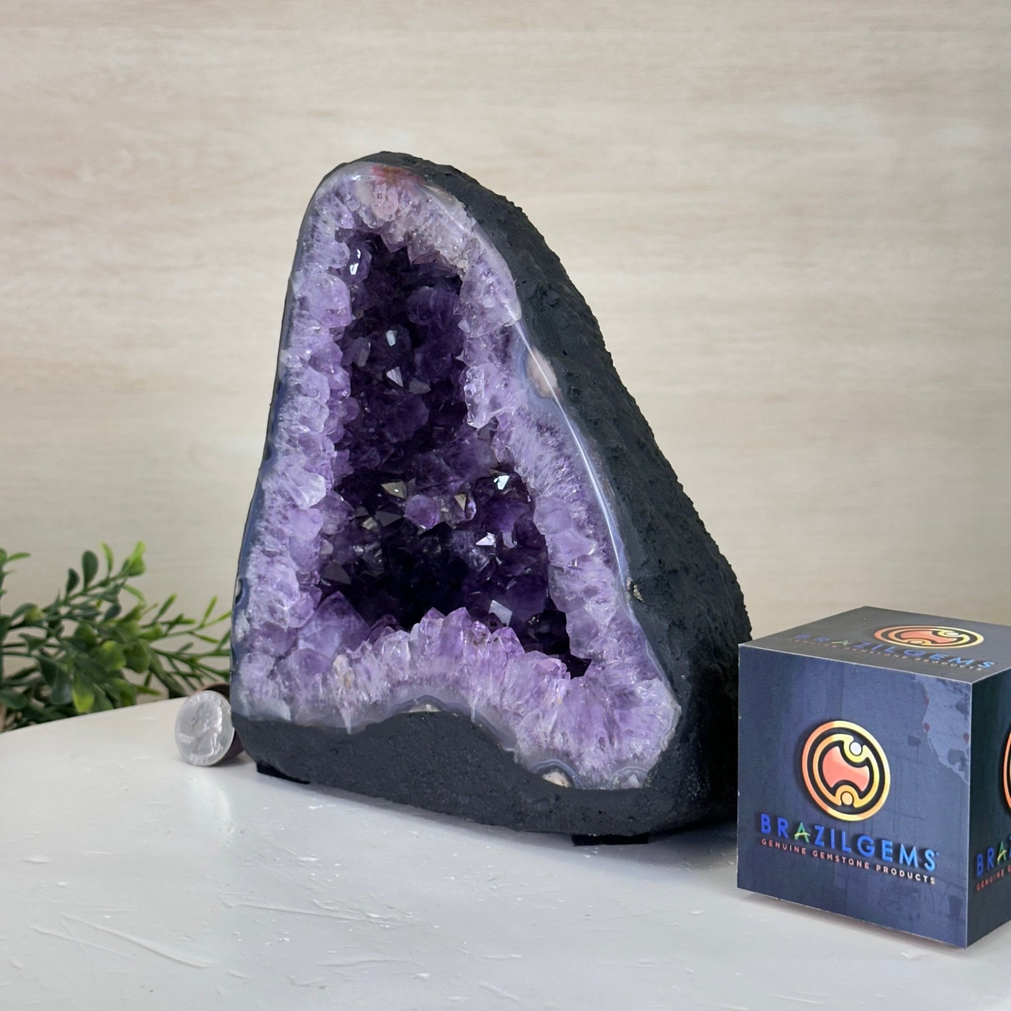 Extra Quality Amethyst Cathedral, 6.6 lbs & 7.6" Tall #5601 - 1425 - Brazil GemsBrazil GemsExtra Quality Amethyst Cathedral, 6.6 lbs & 7.6" Tall #5601 - 1425Cathedrals5601 - 1425