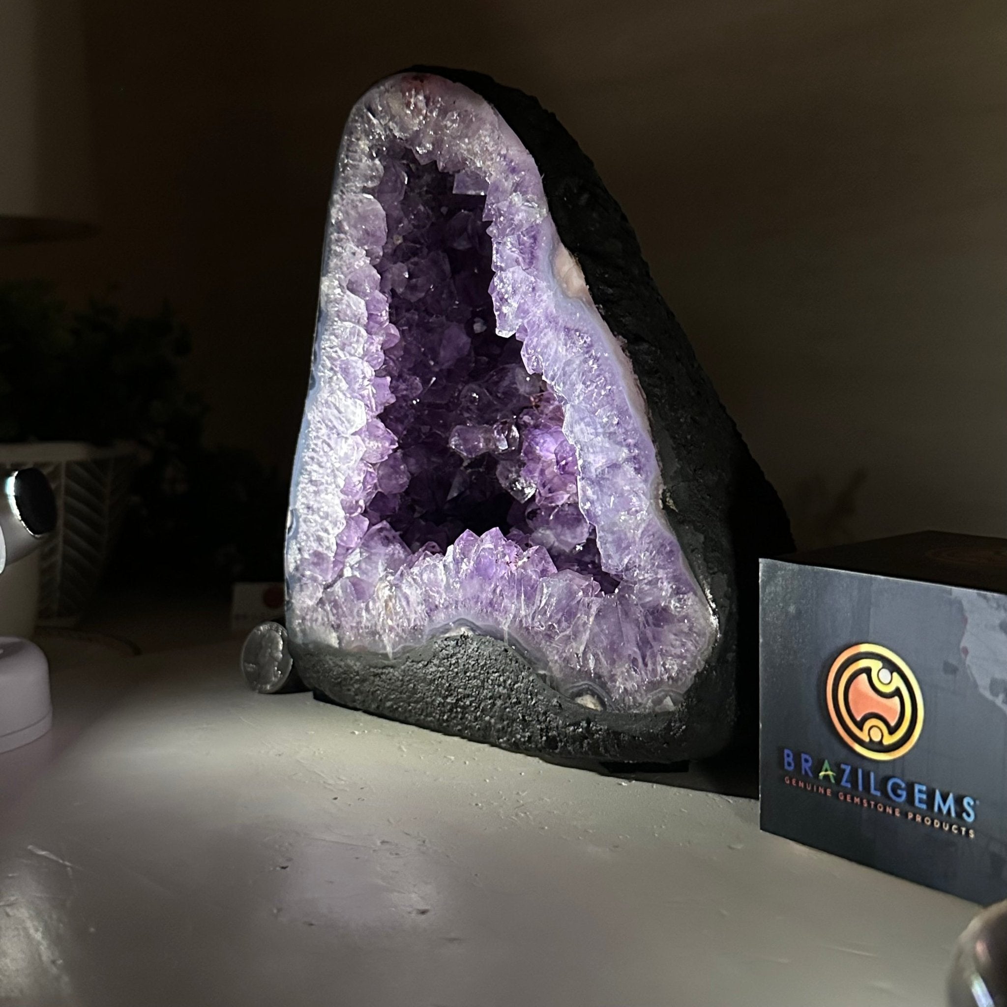 Extra Quality Amethyst Cathedral, 6.6 lbs & 7.6" Tall #5601 - 1425 - Brazil GemsBrazil GemsExtra Quality Amethyst Cathedral, 6.6 lbs & 7.6" Tall #5601 - 1425Cathedrals5601 - 1425