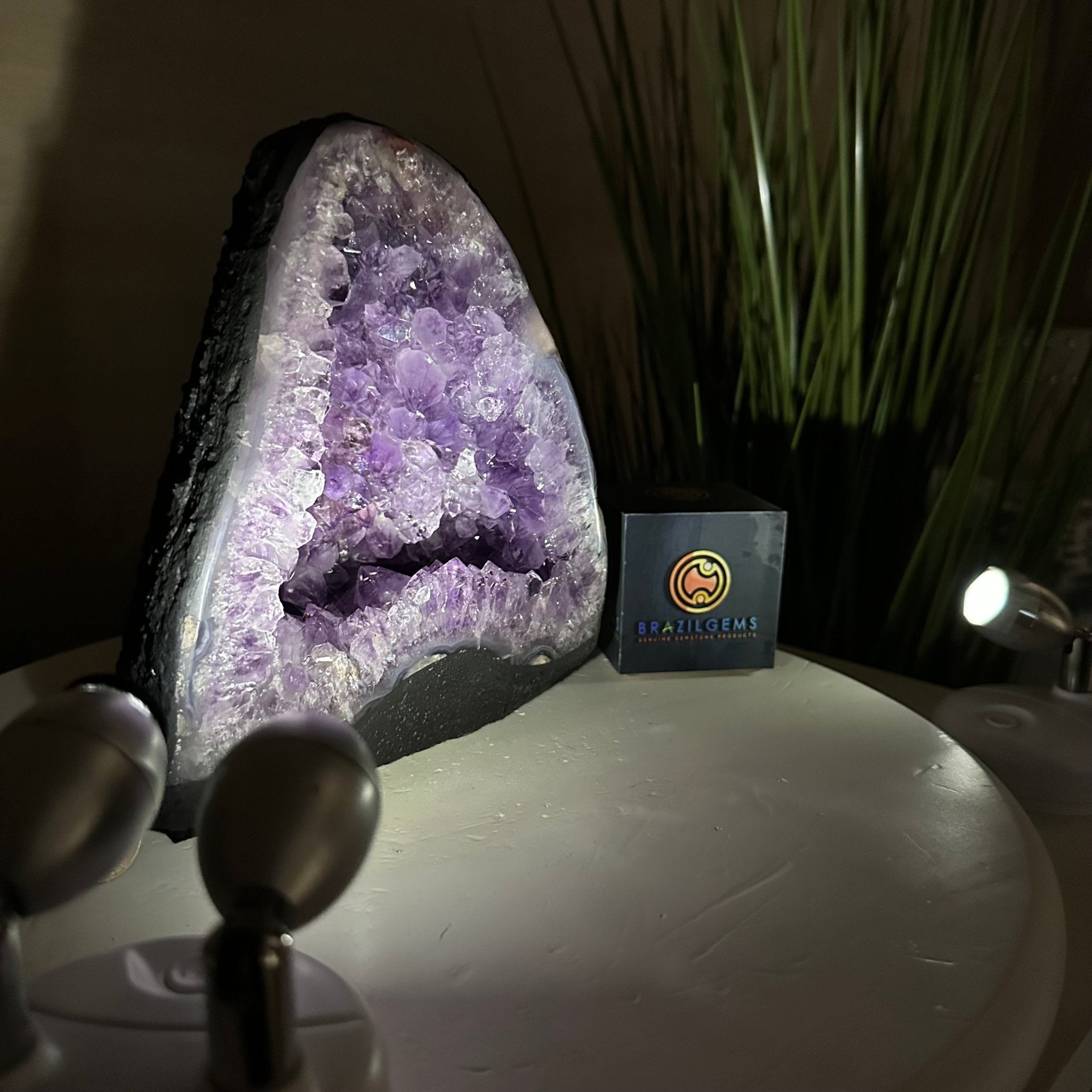 Extra Quality Amethyst Cathedral, 6.6 lbs & 7.6" Tall #5601 - 1425 - Brazil GemsBrazil GemsExtra Quality Amethyst Cathedral, 6.6 lbs & 7.6" Tall #5601 - 1425Cathedrals5601 - 1425