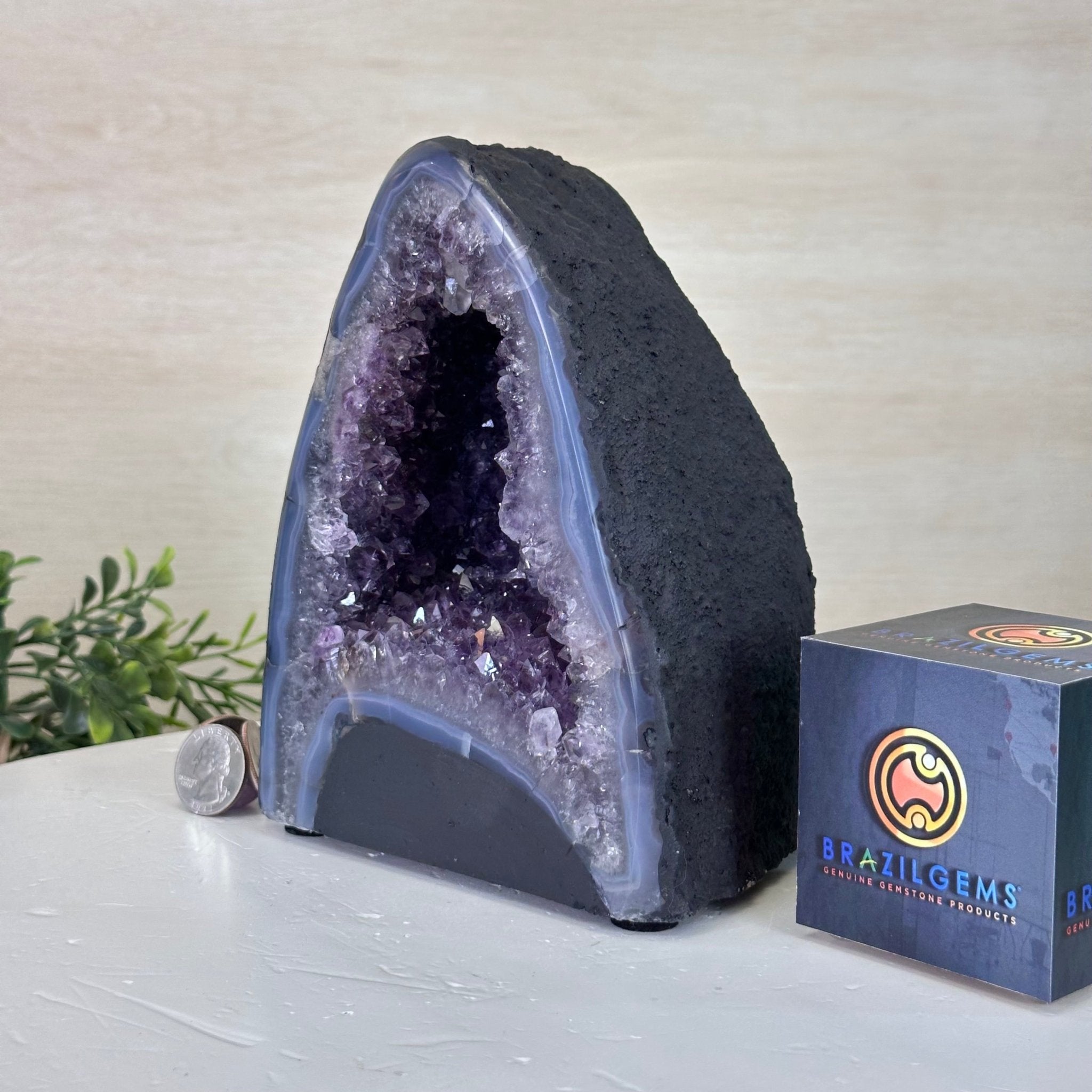 Extra Quality Amethyst Cathedral, 6.7 lbs & 6.9" Tall #5601 - 1426 - Brazil GemsBrazil GemsExtra Quality Amethyst Cathedral, 6.7 lbs & 6.9" Tall #5601 - 1426Cathedrals5601 - 1426