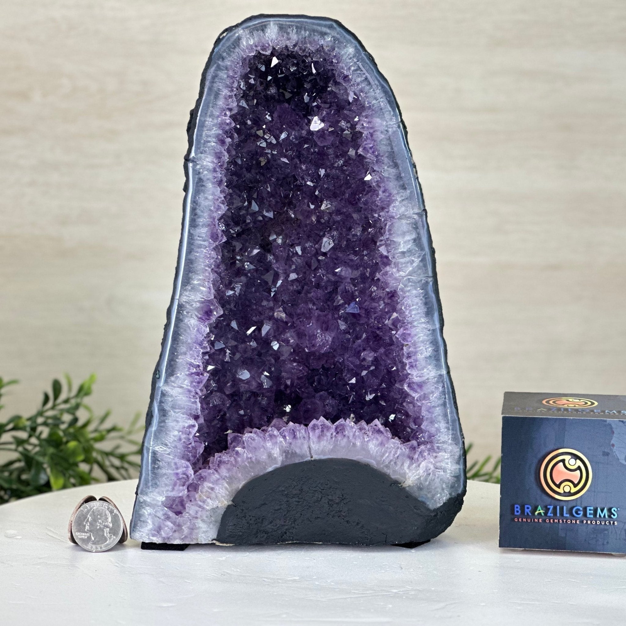 Extra Quality Amethyst Cathedral, 6.9 lbs & 9.9" Tall #5601 - 1427 - Brazil GemsBrazil GemsExtra Quality Amethyst Cathedral, 6.9 lbs & 9.9" Tall #5601 - 1427Cathedrals5601 - 1427