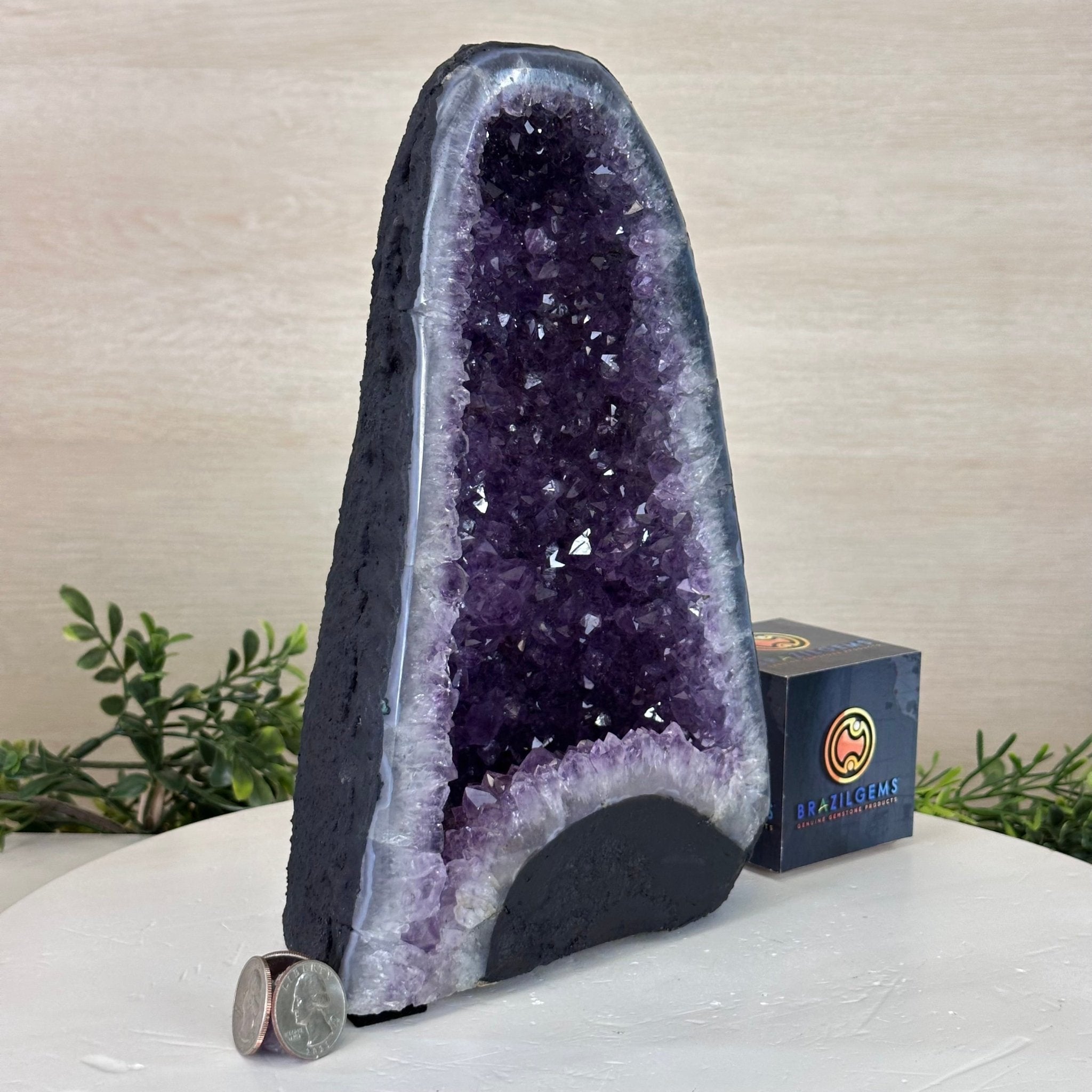 Extra Quality Amethyst Cathedral, 6.9 lbs & 9.9" Tall #5601 - 1427 - Brazil GemsBrazil GemsExtra Quality Amethyst Cathedral, 6.9 lbs & 9.9" Tall #5601 - 1427Cathedrals5601 - 1427