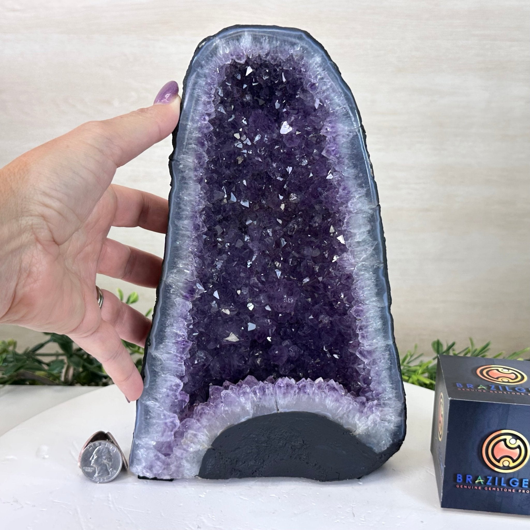 Extra Quality Amethyst Cathedral, 6.9 lbs & 9.9" Tall #5601 - 1427 - Brazil GemsBrazil GemsExtra Quality Amethyst Cathedral, 6.9 lbs & 9.9" Tall #5601 - 1427Cathedrals5601 - 1427