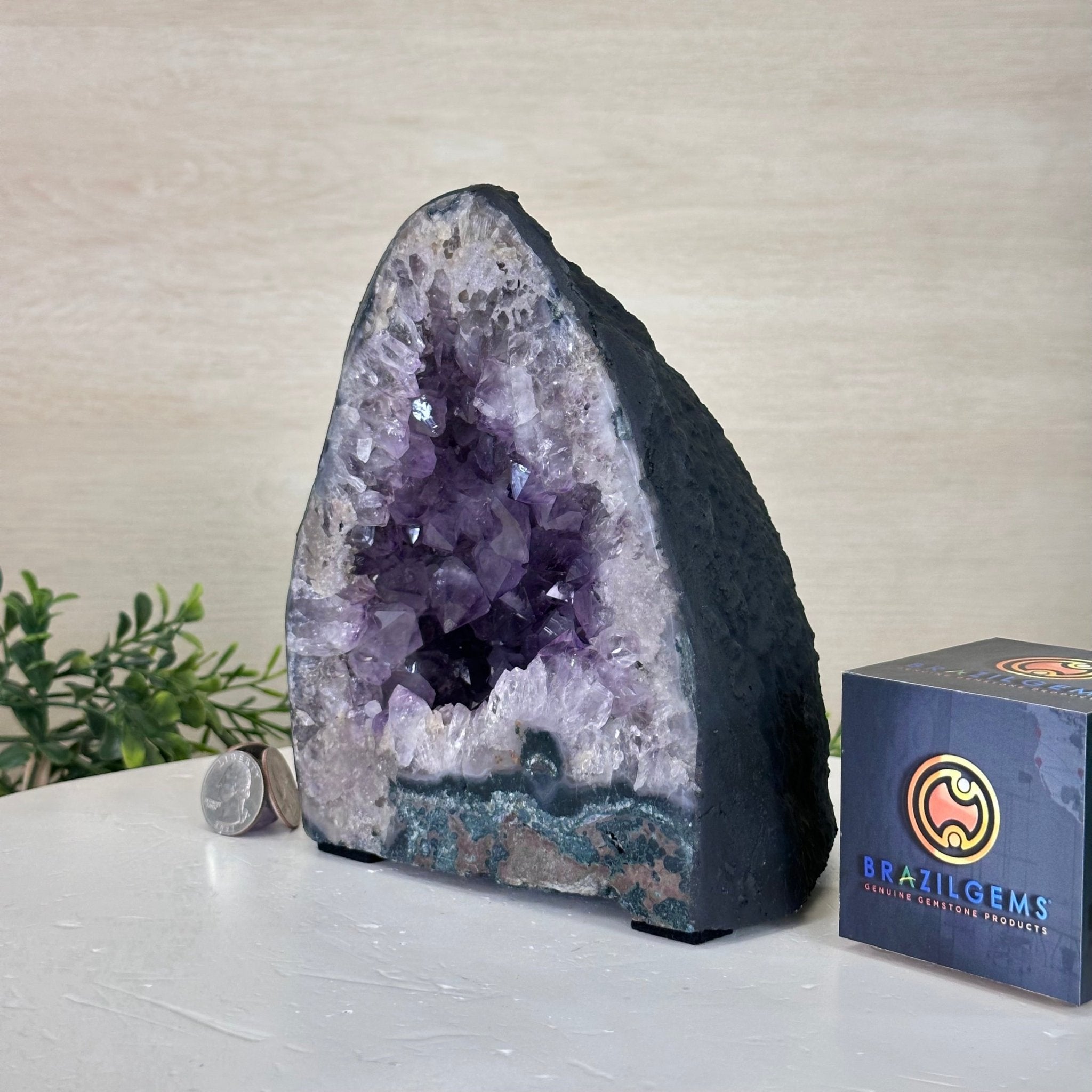 Extra Quality Amethyst Cathedral, 7.1 lbs & 7.1" Tall #5601 - 1428 - Brazil GemsBrazil GemsExtra Quality Amethyst Cathedral, 7.1 lbs & 7.1" Tall #5601 - 1428Cathedrals5601 - 1428