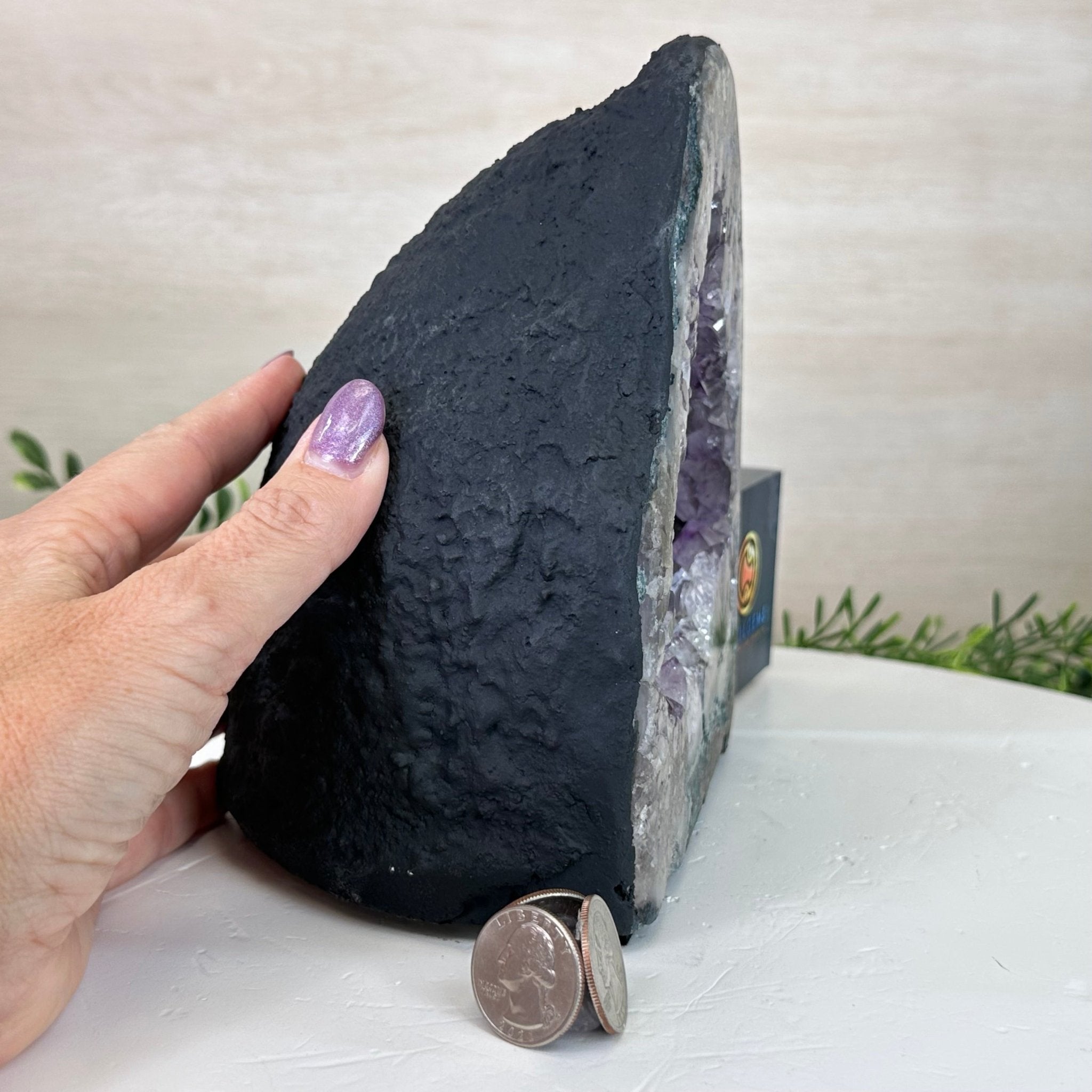 Extra Quality Amethyst Cathedral, 7.1 lbs & 7.1" Tall #5601 - 1428 - Brazil GemsBrazil GemsExtra Quality Amethyst Cathedral, 7.1 lbs & 7.1" Tall #5601 - 1428Cathedrals5601 - 1428