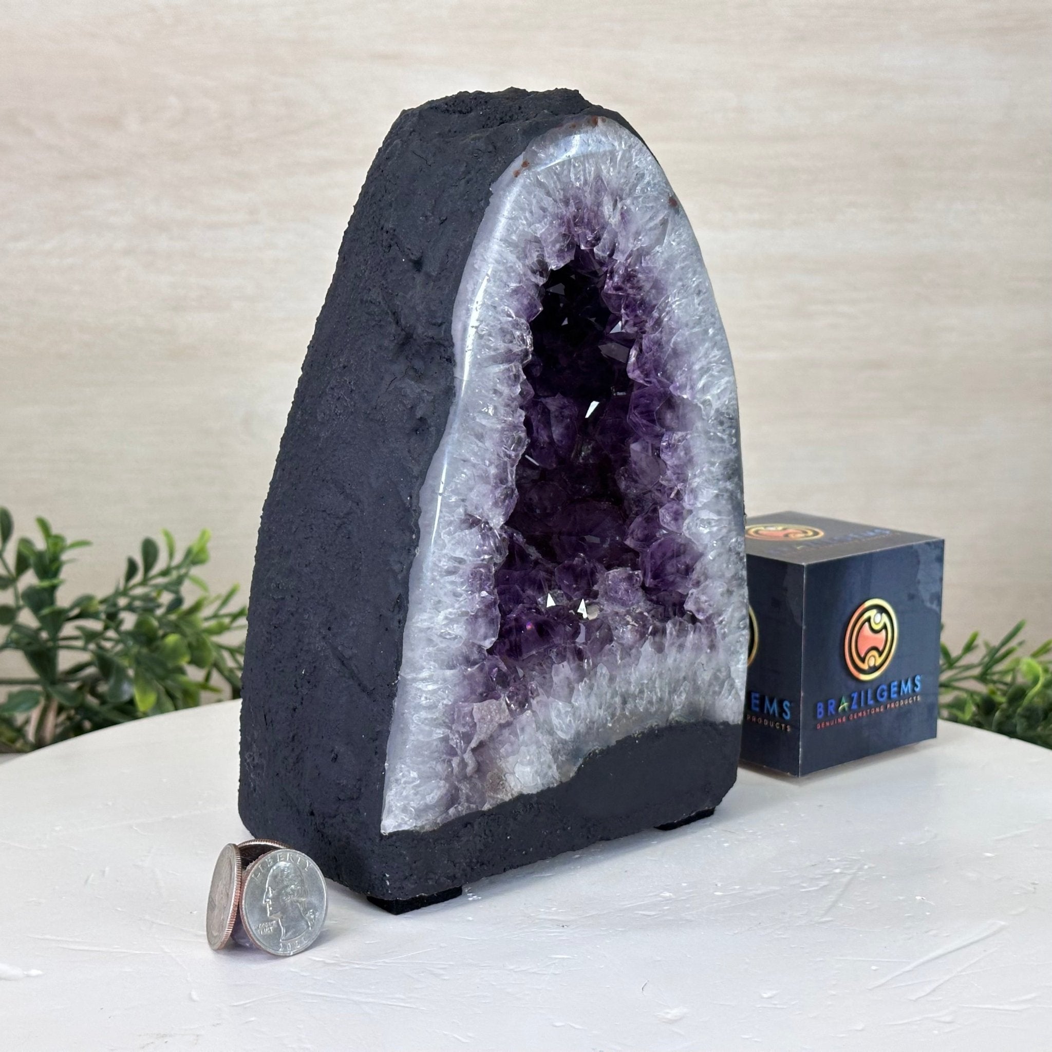 Extra Quality Amethyst Cathedral, 7.5 lbs & 7.9" Tall #5601 - 1430 - Brazil GemsBrazil GemsExtra Quality Amethyst Cathedral, 7.5 lbs & 7.9" Tall #5601 - 1430Cathedrals5601 - 1430