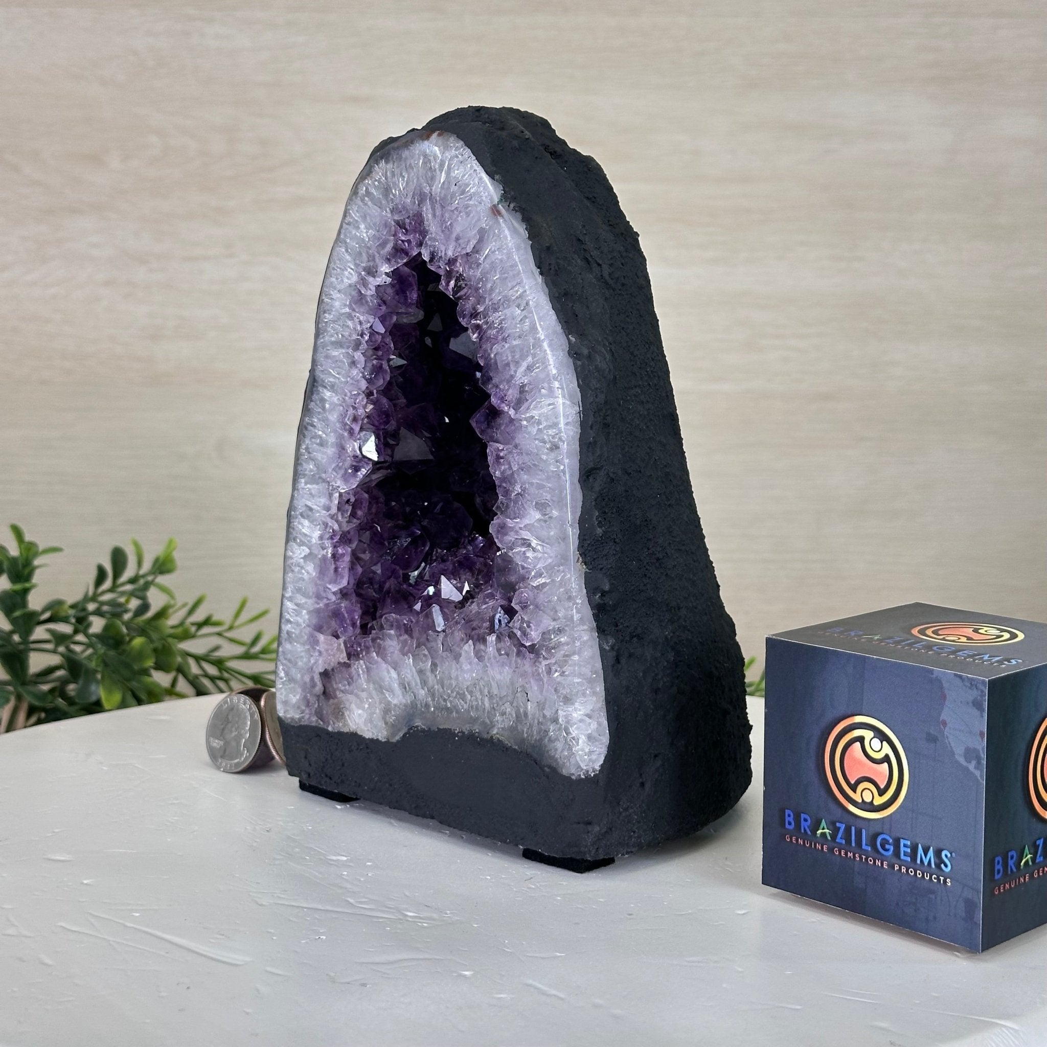 Extra Quality Amethyst Cathedral, 7.5 lbs & 7.9" Tall #5601 - 1430 - Brazil GemsBrazil GemsExtra Quality Amethyst Cathedral, 7.5 lbs & 7.9" Tall #5601 - 1430Cathedrals5601 - 1430