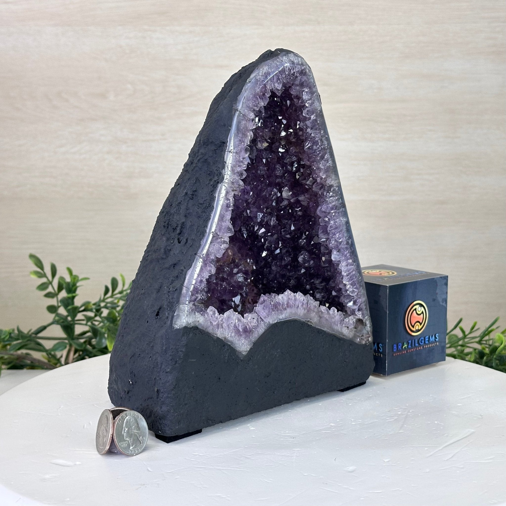 Extra Quality Amethyst Cathedral, 7.5 lbs & 8.8" Tall #5601 - 1431 - Brazil GemsBrazil GemsExtra Quality Amethyst Cathedral, 7.5 lbs & 8.8" Tall #5601 - 1431Cathedrals5601 - 1431