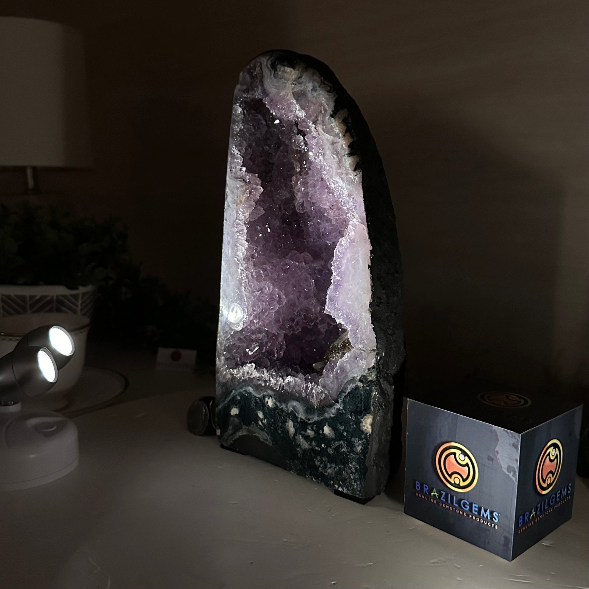 Extra Quality Amethyst Cathedral, 8.2 lbs & 10" Tall #5601 - 1433 - Brazil GemsBrazil GemsExtra Quality Amethyst Cathedral, 8.2 lbs & 10" Tall #5601 - 1433Cathedrals5601 - 1433