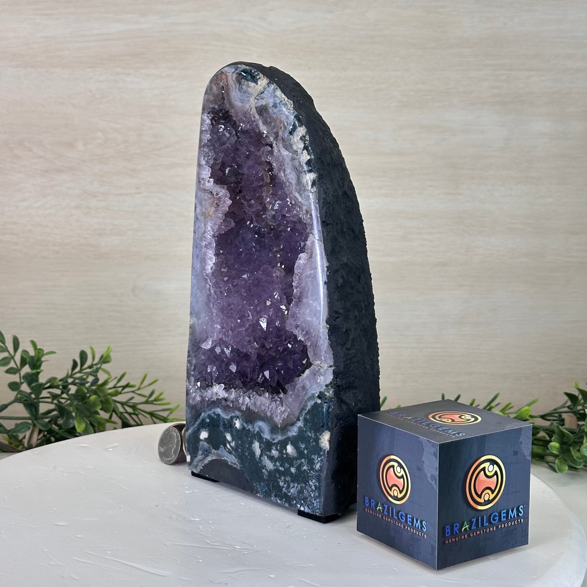 Extra Quality Amethyst Cathedral, 8.2 lbs & 10" Tall #5601 - 1433 - Brazil GemsBrazil GemsExtra Quality Amethyst Cathedral, 8.2 lbs & 10" Tall #5601 - 1433Cathedrals5601 - 1433