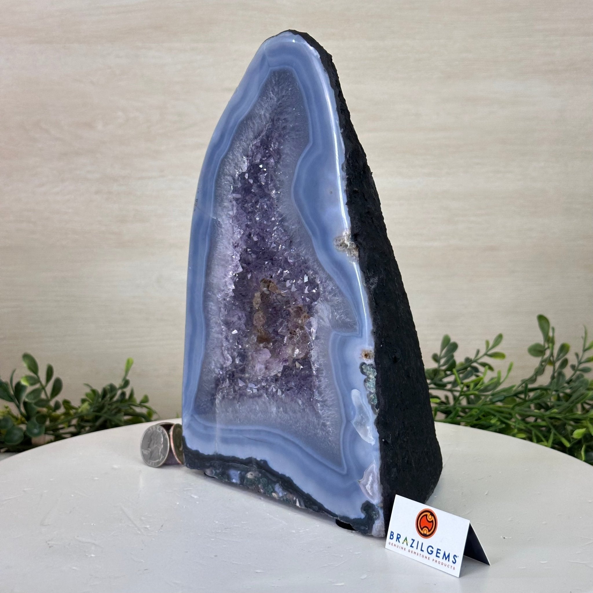 Extra Quality Amethyst Cathedral, 9.1 lbs & 9.3" Tall #5601 - 1194 - Brazil GemsBrazil GemsExtra Quality Amethyst Cathedral, 9.1 lbs & 9.3" Tall #5601 - 1194Cathedrals5601 - 1194