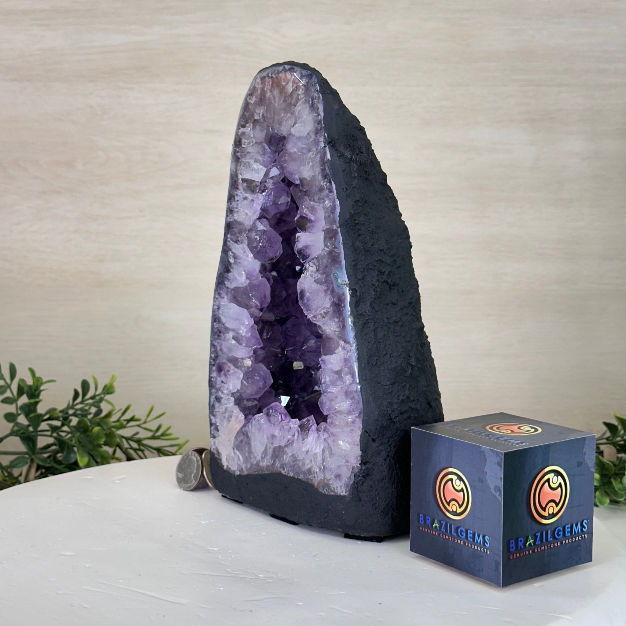 Extra Quality Amethyst Cathedral, 9.2 lbs & 9.9" Tall #5601 - 1435 - Brazil GemsBrazil GemsExtra Quality Amethyst Cathedral, 9.2 lbs & 9.9" Tall #5601 - 1435Cathedrals5601 - 1435