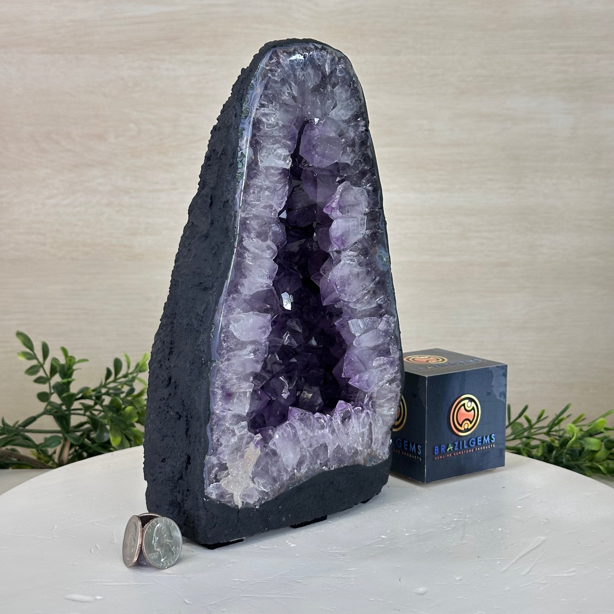 Extra Quality Amethyst Cathedral, 9.2 lbs & 9.9" Tall #5601 - 1435 - Brazil GemsBrazil GemsExtra Quality Amethyst Cathedral, 9.2 lbs & 9.9" Tall #5601 - 1435Cathedrals5601 - 1435