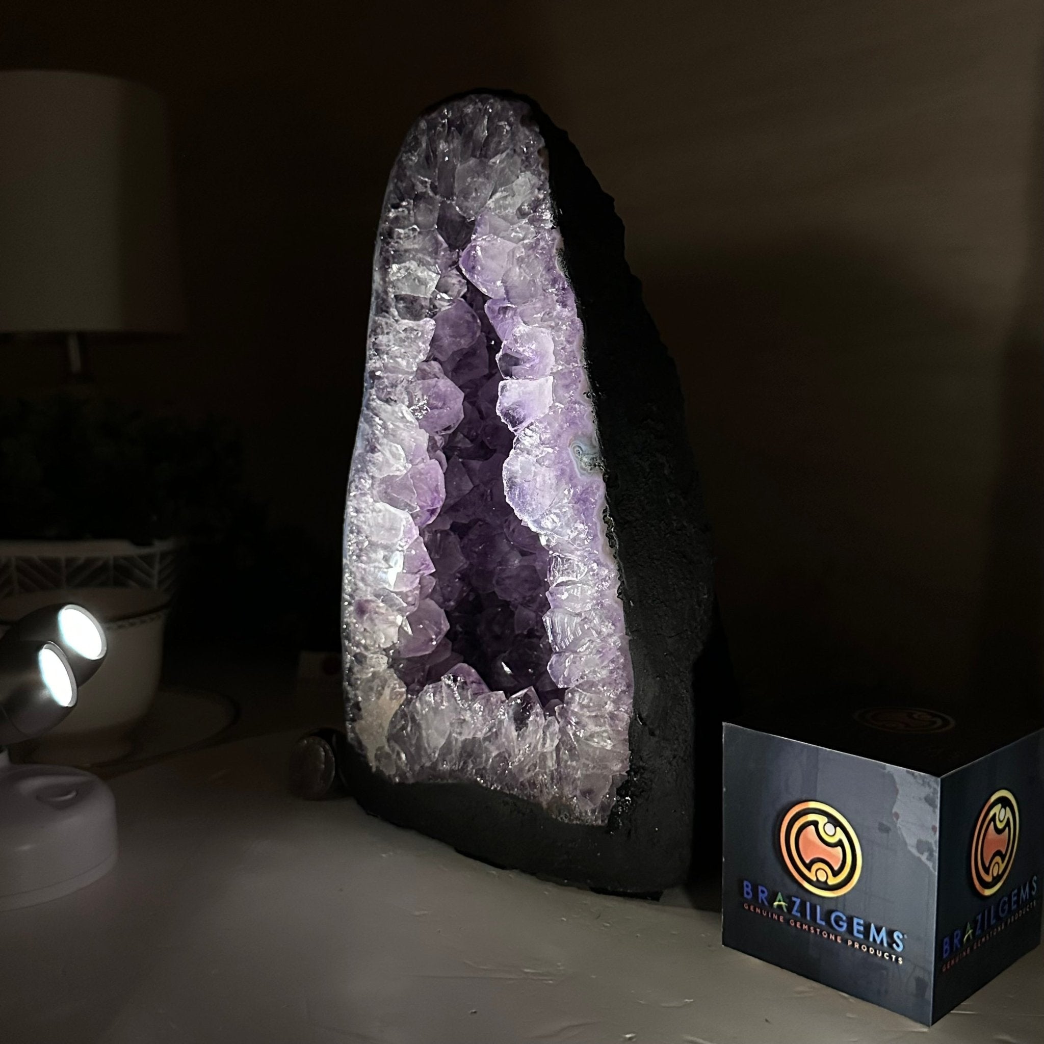 Extra Quality Amethyst Cathedral, 9.2 lbs & 9.9" Tall #5601 - 1435 - Brazil GemsBrazil GemsExtra Quality Amethyst Cathedral, 9.2 lbs & 9.9" Tall #5601 - 1435Cathedrals5601 - 1435