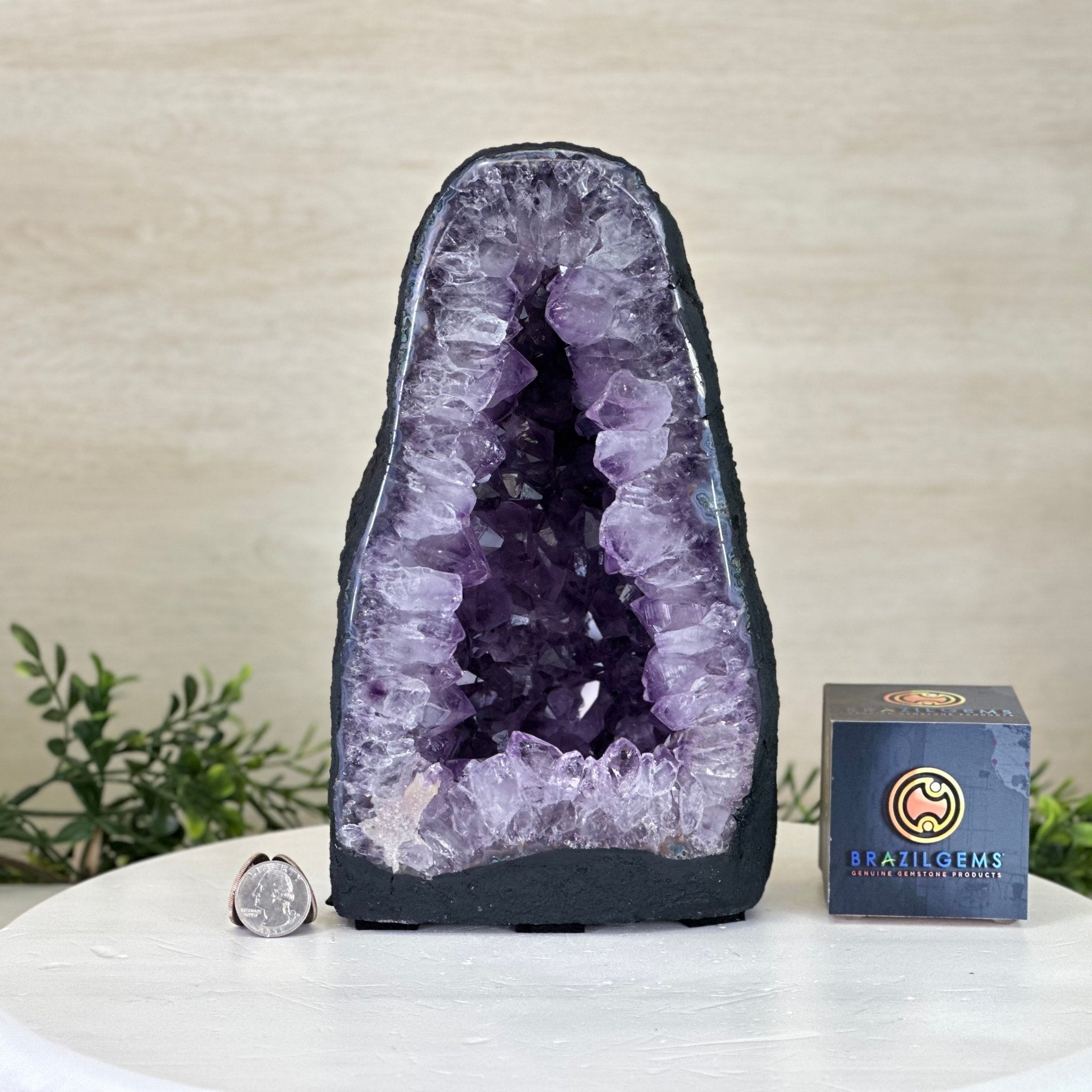 Extra Quality Amethyst Cathedral, 9.2 lbs & 9.9" Tall #5601 - 1435 - Brazil GemsBrazil GemsExtra Quality Amethyst Cathedral, 9.2 lbs & 9.9" Tall #5601 - 1435Cathedrals5601 - 1435