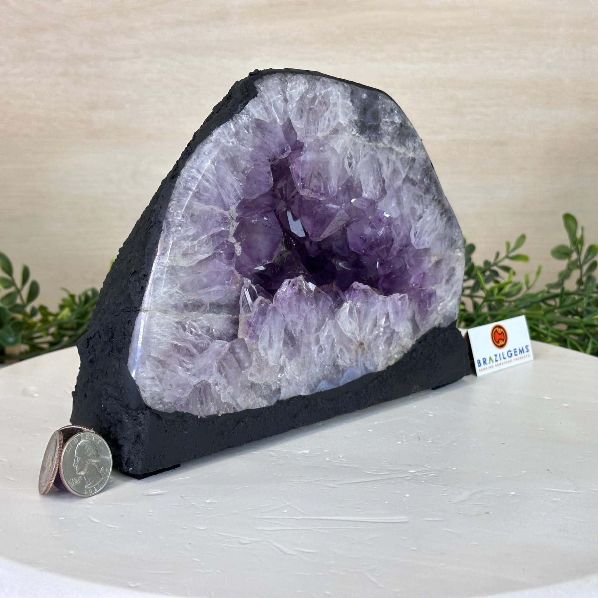 Extra Quality Amethyst Cathedral, 9.7 lbs & 6.2" Tall #5601 - 1243 - Brazil GemsBrazil GemsExtra Quality Amethyst Cathedral, 9.7 lbs & 6.2" Tall #5601 - 1243Cathedrals5601 - 1243