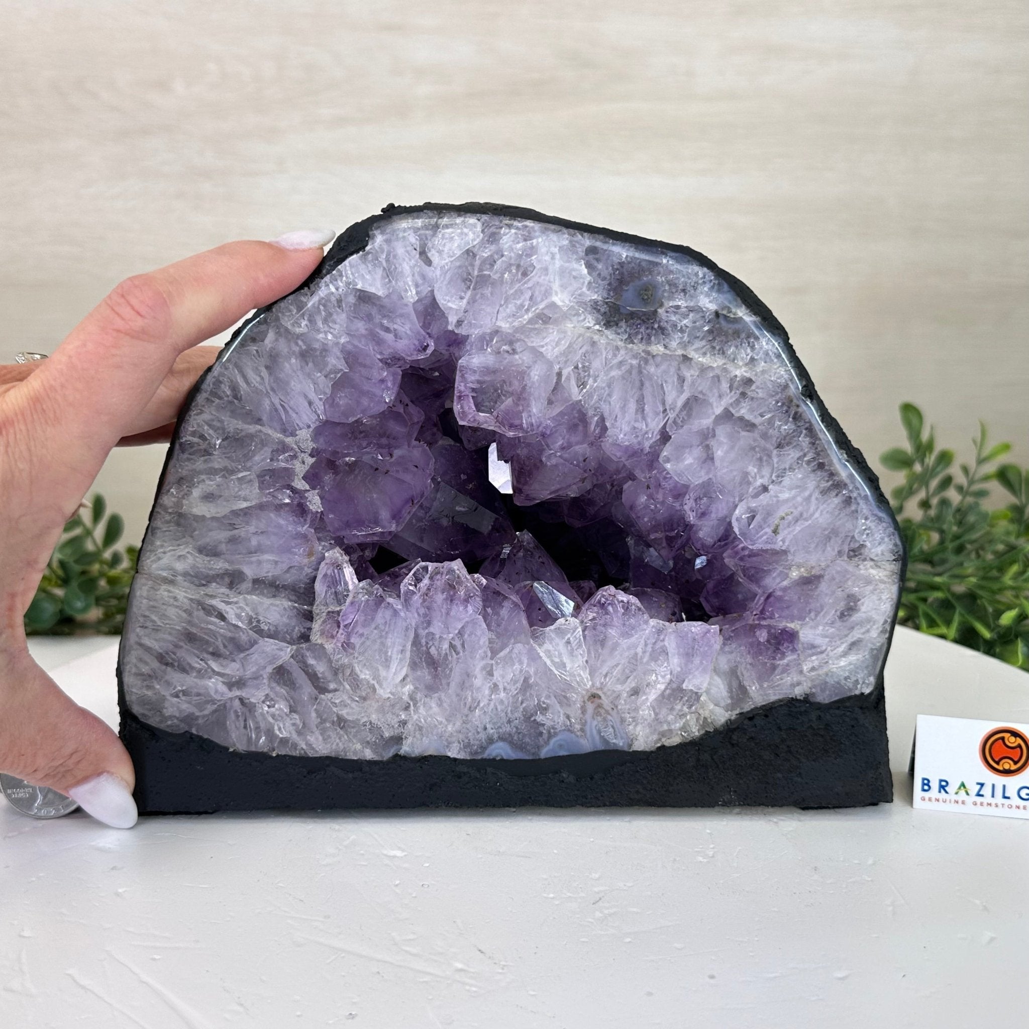 Extra Quality Amethyst Cathedral, 9.7 lbs & 6.2" Tall #5601 - 1243 - Brazil GemsBrazil GemsExtra Quality Amethyst Cathedral, 9.7 lbs & 6.2" Tall #5601 - 1243Cathedrals5601 - 1243