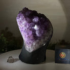 Extra Quality Amethyst Cluster, Cement Base, 10.3 lbs & 8.9" Tall #5614 - 0134 - Brazil GemsBrazil GemsExtra Quality Amethyst Cluster, Cement Base, 10.3 lbs & 8.9" Tall #5614 - 0134Clusters on Cement Bases5614 - 0134