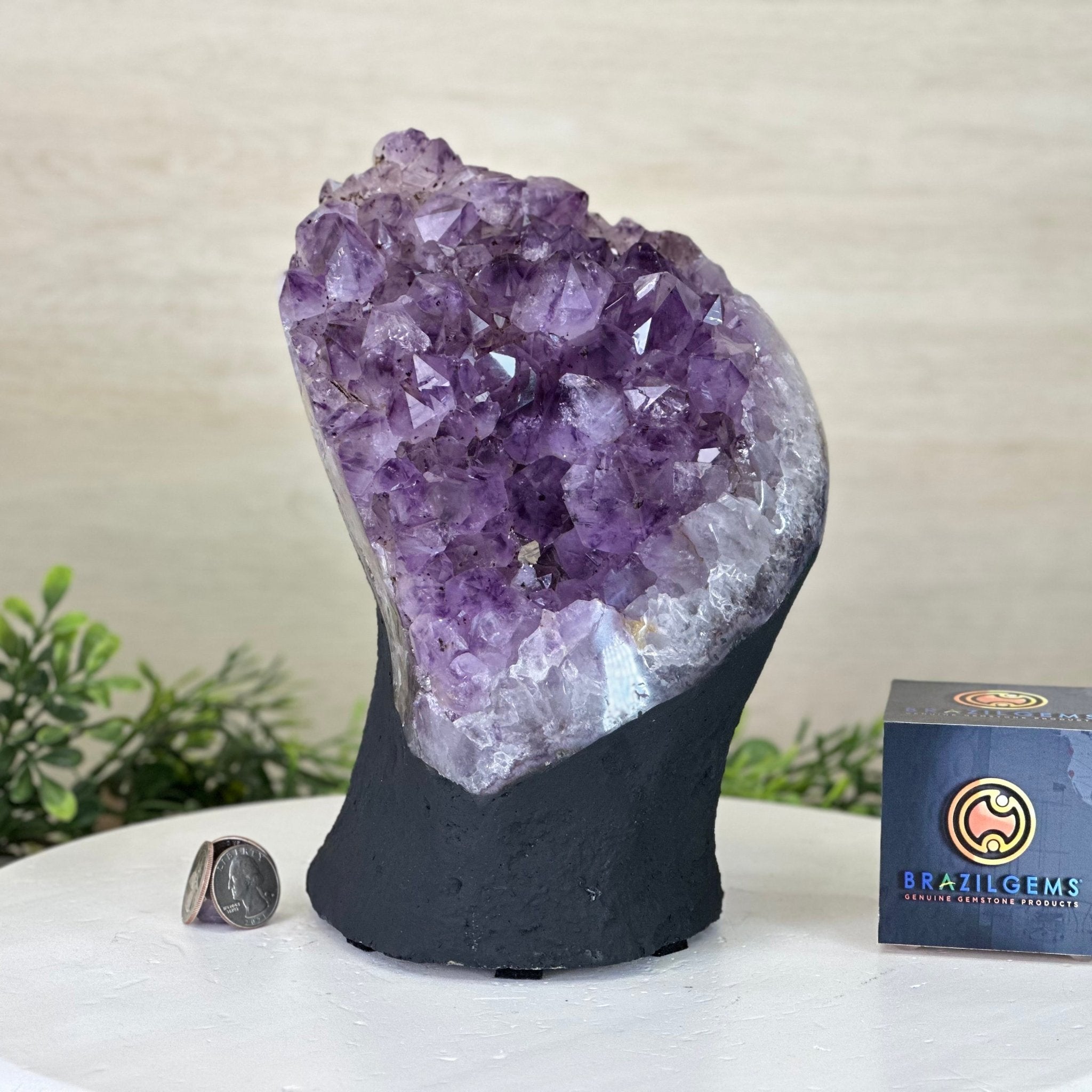 Extra Quality Amethyst Cluster, Cement Base, 10.3 lbs & 8.9" Tall #5614 - 0134 - Brazil GemsBrazil GemsExtra Quality Amethyst Cluster, Cement Base, 10.3 lbs & 8.9" Tall #5614 - 0134Clusters on Cement Bases5614 - 0134