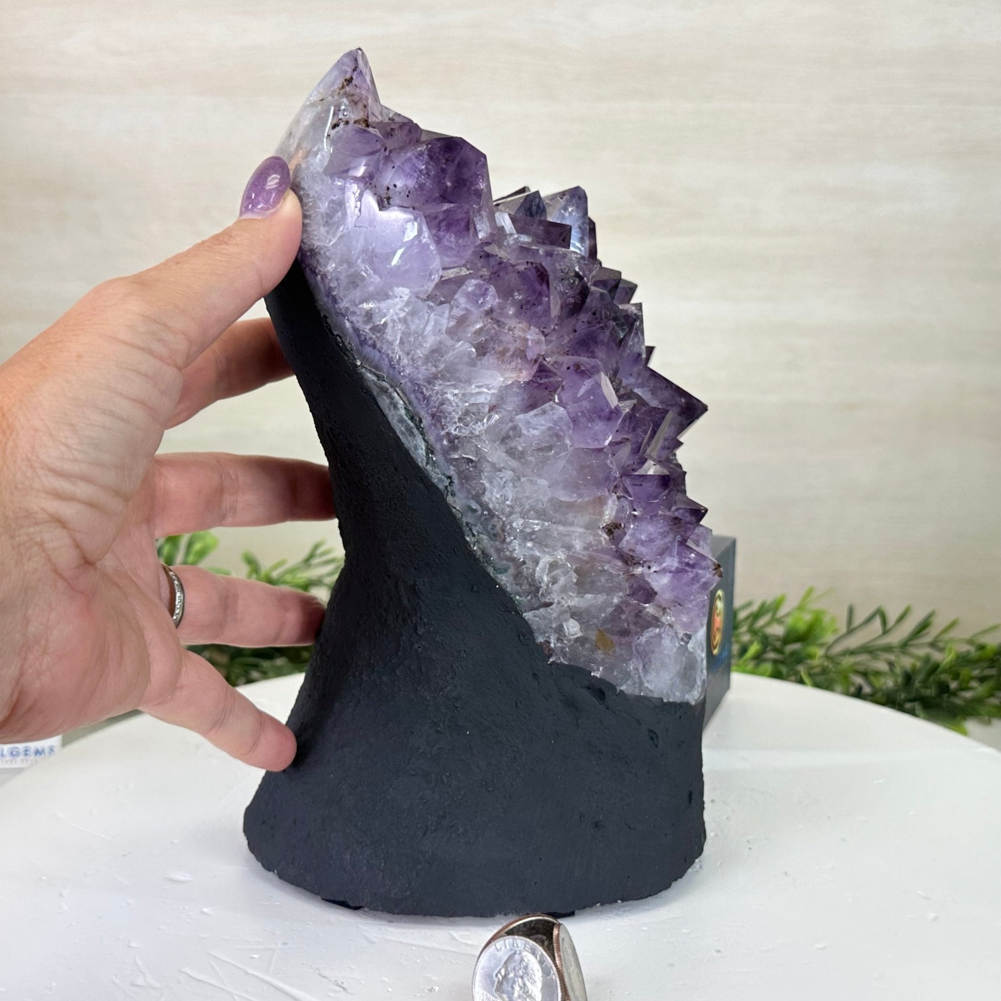 Extra Quality Amethyst Cluster, Cement Base, 10.3 lbs & 8.9" Tall #5614 - 0134 - Brazil GemsBrazil GemsExtra Quality Amethyst Cluster, Cement Base, 10.3 lbs & 8.9" Tall #5614 - 0134Clusters on Cement Bases5614 - 0134