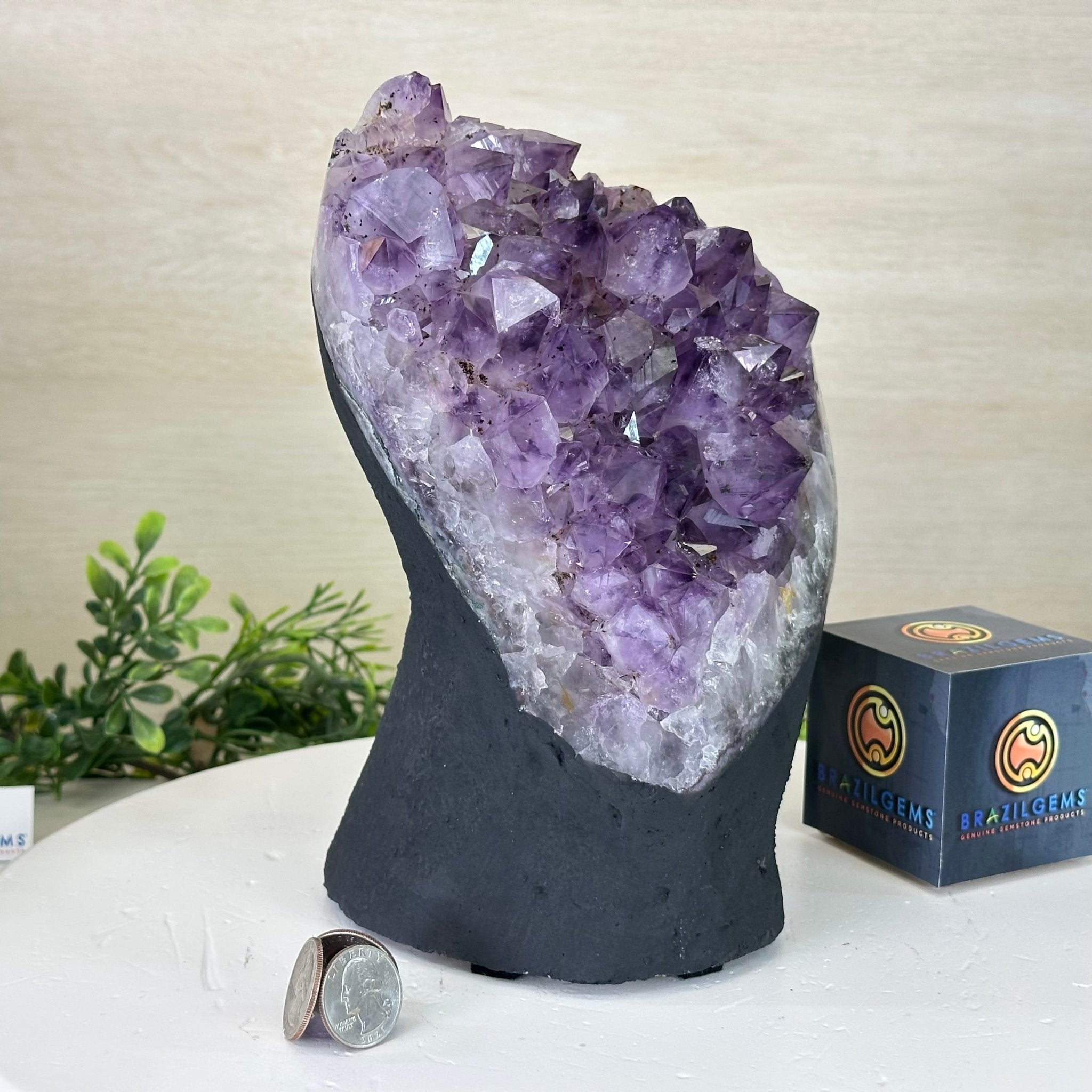 Extra Quality Amethyst Cluster, Cement Base, 10.3 lbs & 8.9" Tall #5614 - 0134 - Brazil GemsBrazil GemsExtra Quality Amethyst Cluster, Cement Base, 10.3 lbs & 8.9" Tall #5614 - 0134Clusters on Cement Bases5614 - 0134