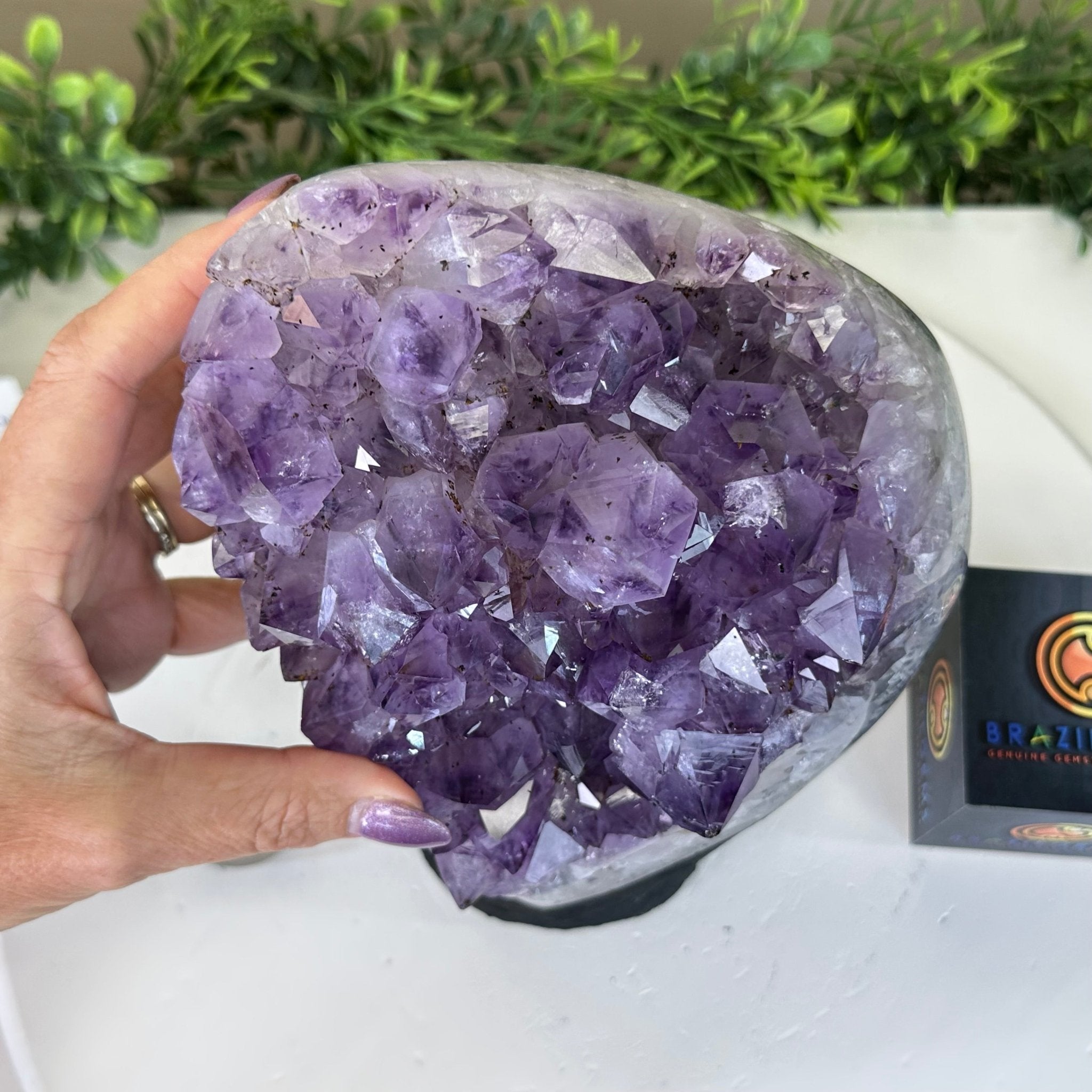 Extra Quality Amethyst Cluster, Cement Base, 10.3 lbs & 8.9" Tall #5614 - 0134 - Brazil GemsBrazil GemsExtra Quality Amethyst Cluster, Cement Base, 10.3 lbs & 8.9" Tall #5614 - 0134Clusters on Cement Bases5614 - 0134