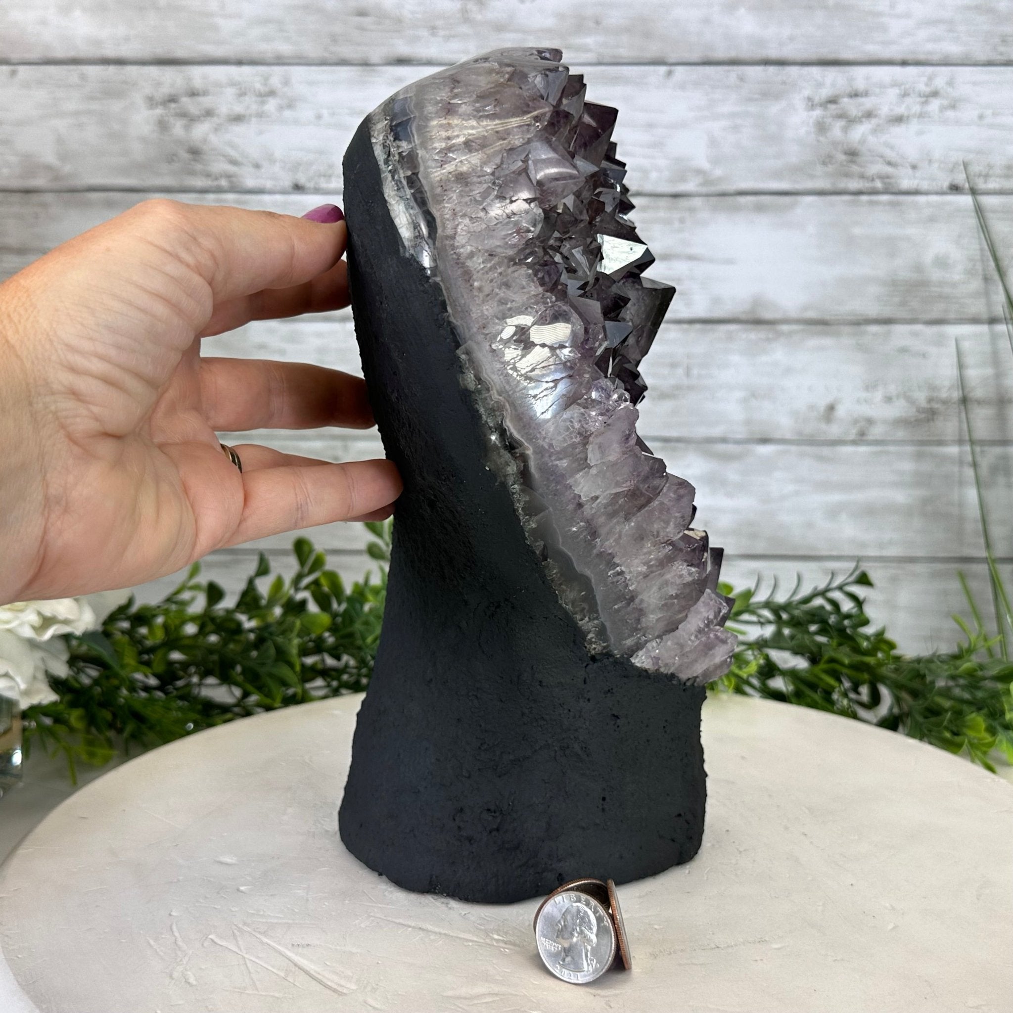 Extra Quality Amethyst Cluster, Cement Base, 10.4" Tall #5614-0112 - Brazil GemsBrazil GemsExtra Quality Amethyst Cluster, Cement Base, 10.4" Tall #5614-0112Clusters on Cement Bases5614-0112