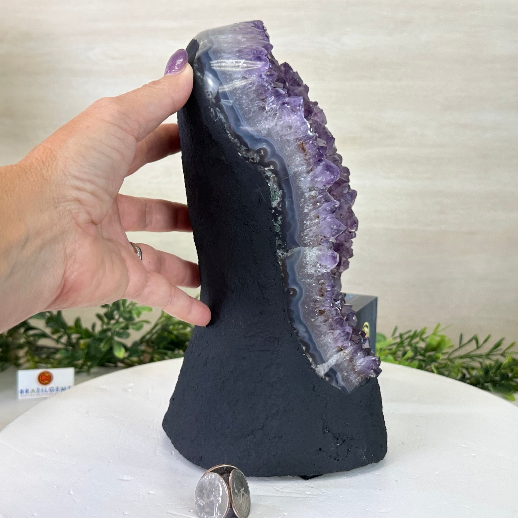 Extra Quality Amethyst Cluster, Cement Base, 10.5 lbs & 10.2" Tall #5614 - 0135 - Brazil GemsBrazil GemsExtra Quality Amethyst Cluster, Cement Base, 10.5 lbs & 10.2" Tall #5614 - 0135Clusters on Cement Bases5614 - 0135