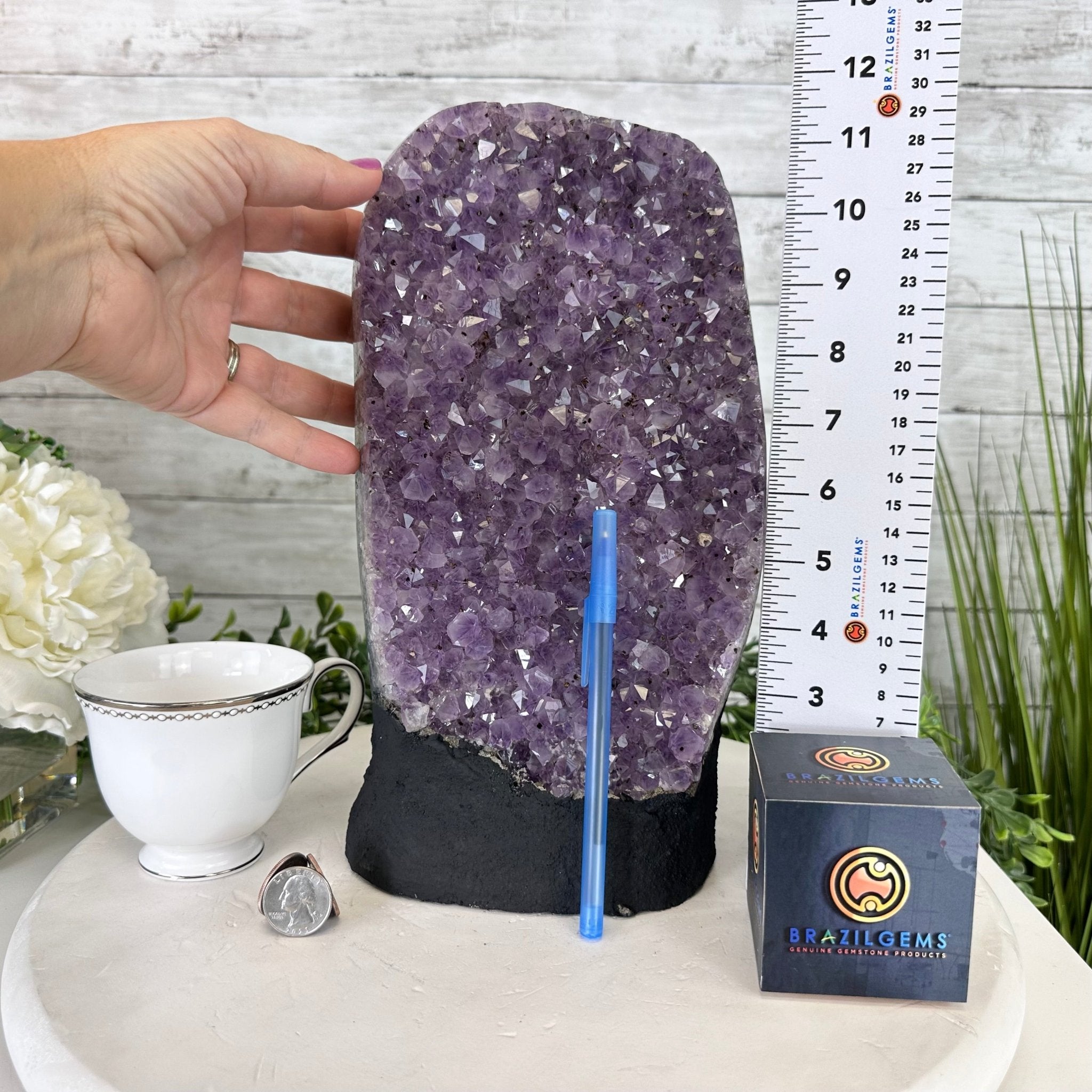 Extra Quality Amethyst Cluster, Cement Base, 11.25" Tall #5614-0109 - Brazil GemsBrazil GemsExtra Quality Amethyst Cluster, Cement Base, 11.25" Tall #5614-0109Clusters on Cement Bases5614-0109