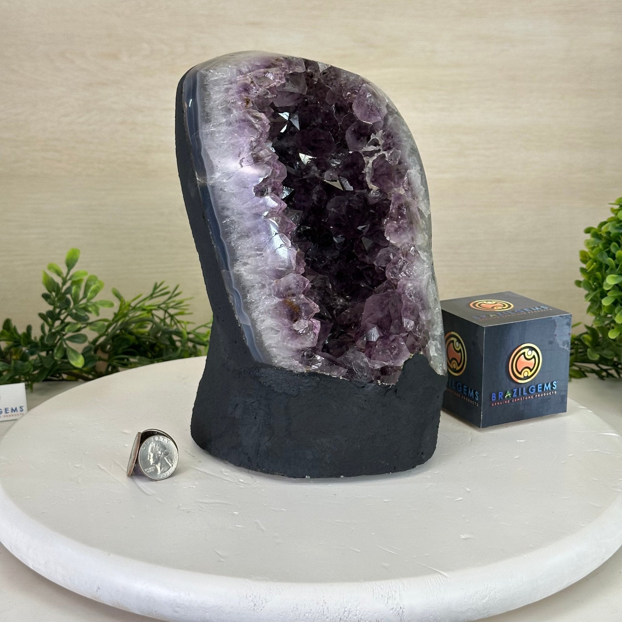 Extra Quality Amethyst Cluster, Cement Base, 11.6 lbs & 8.8" Tall #5614 - 0136 - Brazil GemsBrazil GemsExtra Quality Amethyst Cluster, Cement Base, 11.6 lbs & 8.8" Tall #5614 - 0136Clusters on Cement Bases5614 - 0136