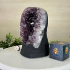 Extra Quality Amethyst Cluster, Cement Base, 11.6 lbs & 8.8" Tall #5614 - 0136 - Brazil GemsBrazil GemsExtra Quality Amethyst Cluster, Cement Base, 11.6 lbs & 8.8" Tall #5614 - 0136Clusters on Cement Bases5614 - 0136