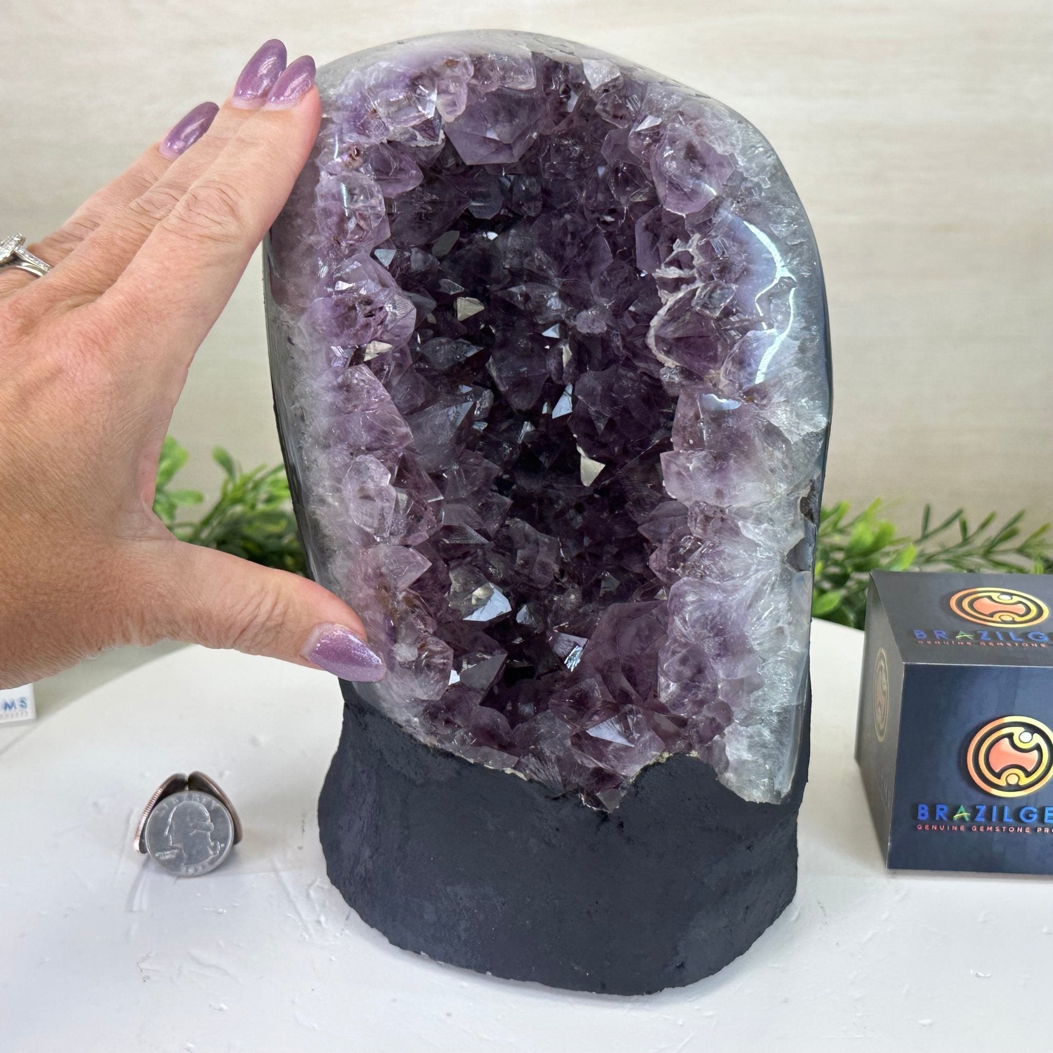 Extra Quality Amethyst Cluster, Cement Base, 11.6 lbs & 8.8" Tall #5614 - 0136 - Brazil GemsBrazil GemsExtra Quality Amethyst Cluster, Cement Base, 11.6 lbs & 8.8" Tall #5614 - 0136Clusters on Cement Bases5614 - 0136