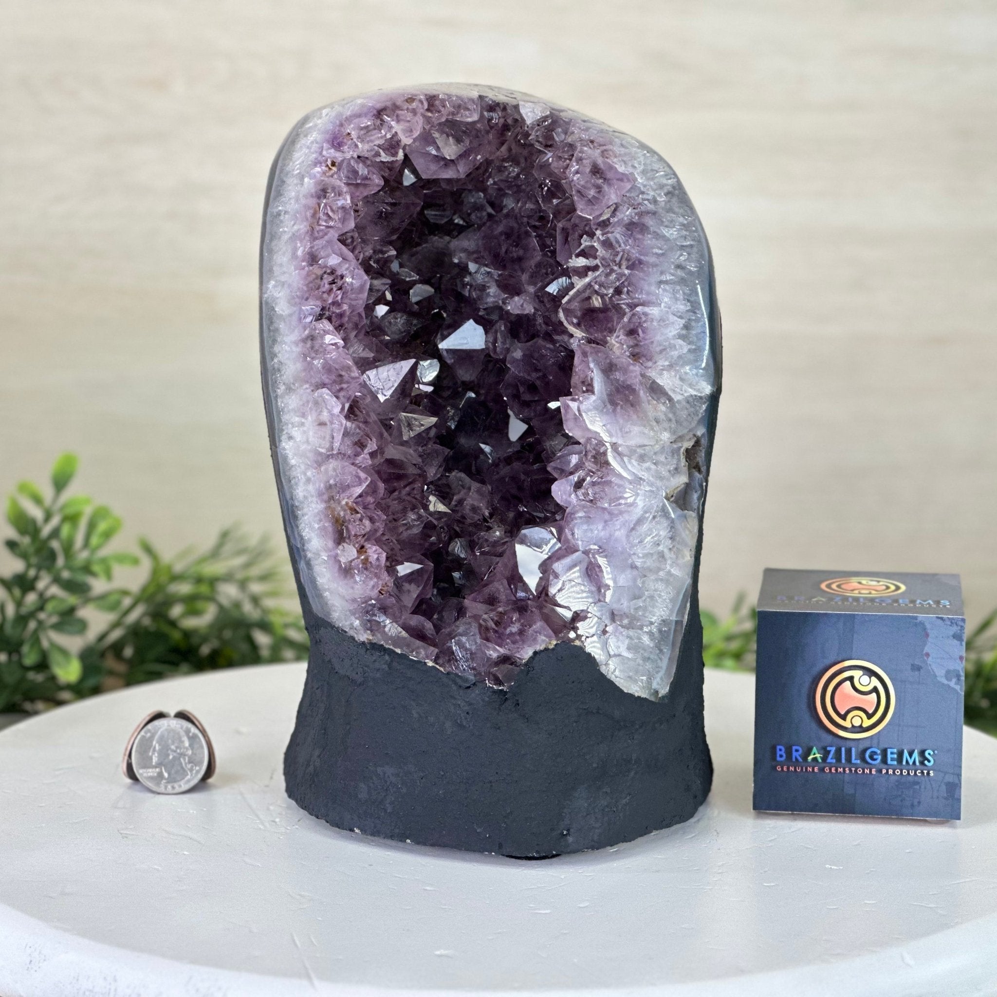 Extra Quality Amethyst Cluster, Cement Base, 11.6 lbs & 8.8" Tall #5614 - 0136 - Brazil GemsBrazil GemsExtra Quality Amethyst Cluster, Cement Base, 11.6 lbs & 8.8" Tall #5614 - 0136Clusters on Cement Bases5614 - 0136