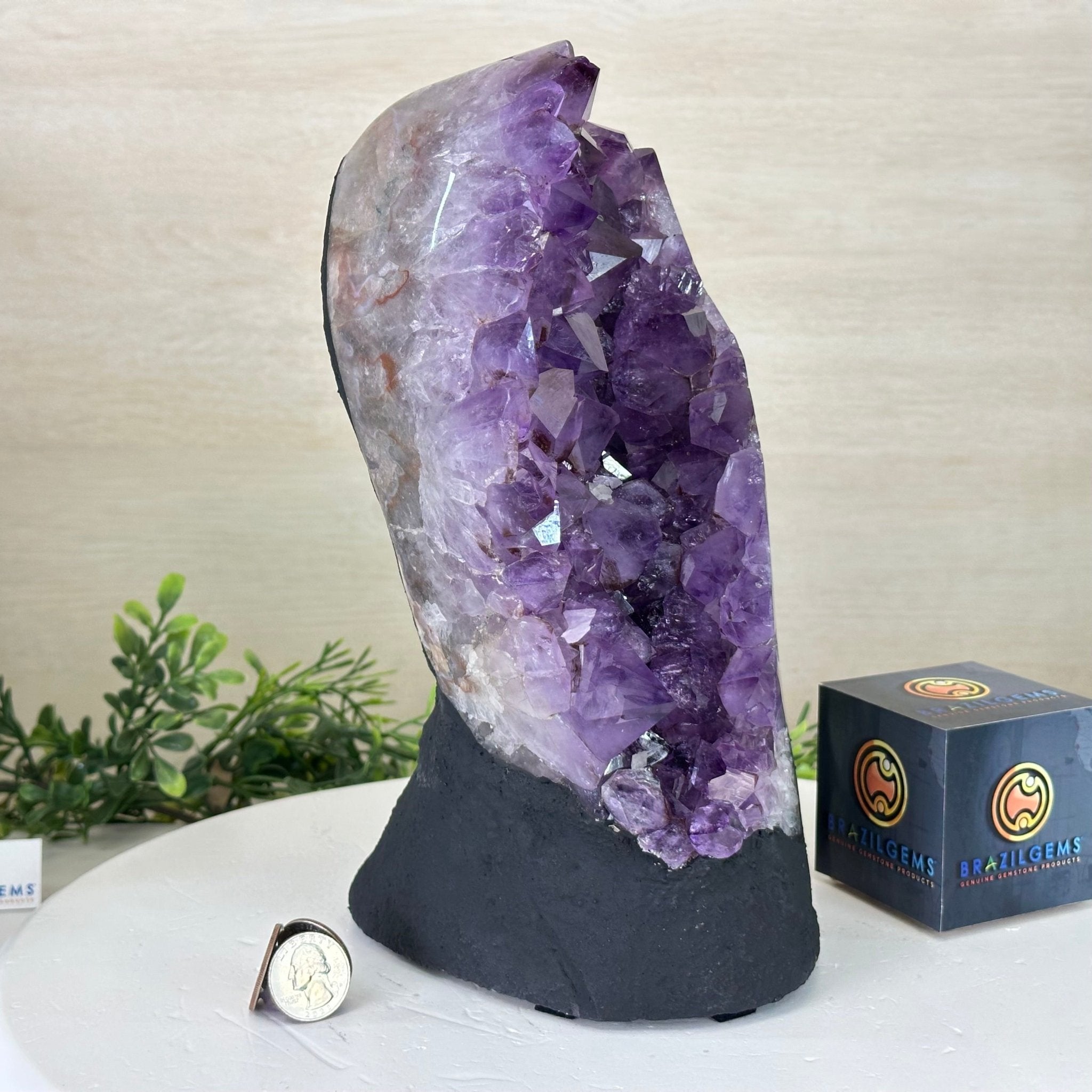 Extra Quality Amethyst Cluster, Cement Base, 11.8 lbs & 10.4" Tall #5614 - 0138 - Brazil GemsBrazil GemsExtra Quality Amethyst Cluster, Cement Base, 11.8 lbs & 10.4" Tall #5614 - 0138Clusters on Cement Bases5614 - 0138