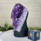 Extra Quality Amethyst Cluster, Cement Base, 11.8 lbs & 10.4" Tall #5614 - 0138 - Brazil GemsBrazil GemsExtra Quality Amethyst Cluster, Cement Base, 11.8 lbs & 10.4" Tall #5614 - 0138Clusters on Cement Bases5614 - 0138