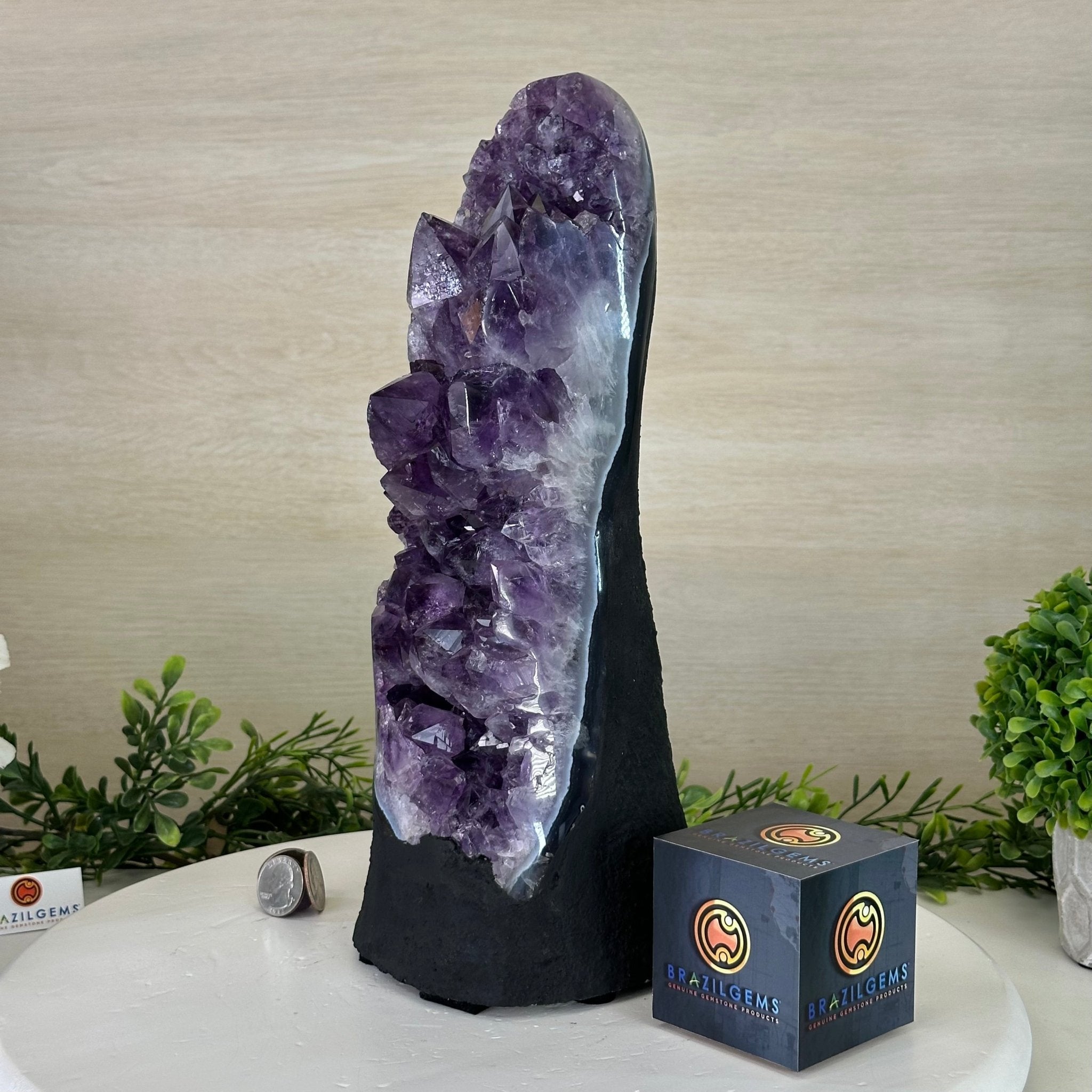 Extra Quality Amethyst Cluster, Cement Base, 11.8 lbs & 12.5" Tall #5614 - 0137 - Brazil GemsBrazil GemsExtra Quality Amethyst Cluster, Cement Base, 11.8 lbs & 12.5" Tall #5614 - 0137Clusters on Cement Bases5614 - 0137